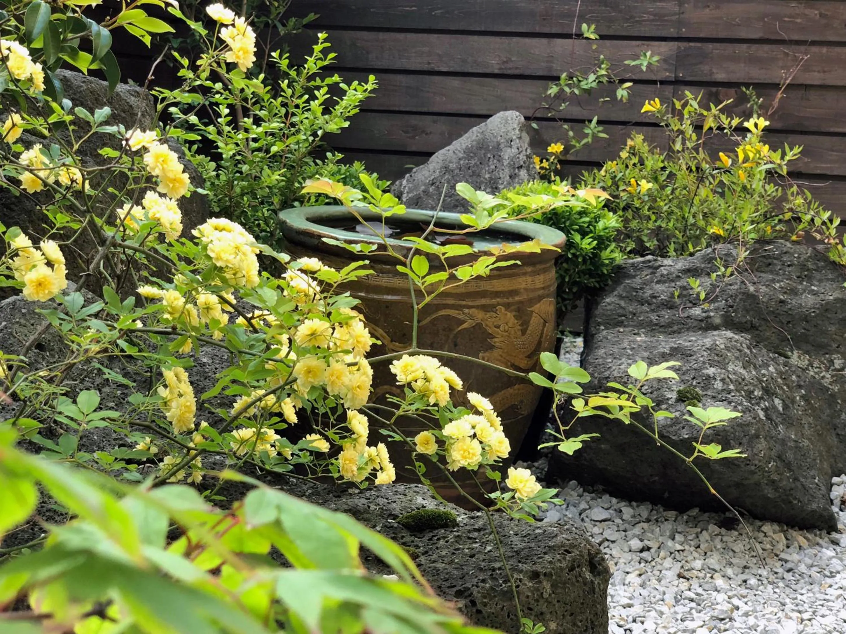 Garden in Tabist International Hotel Kaike