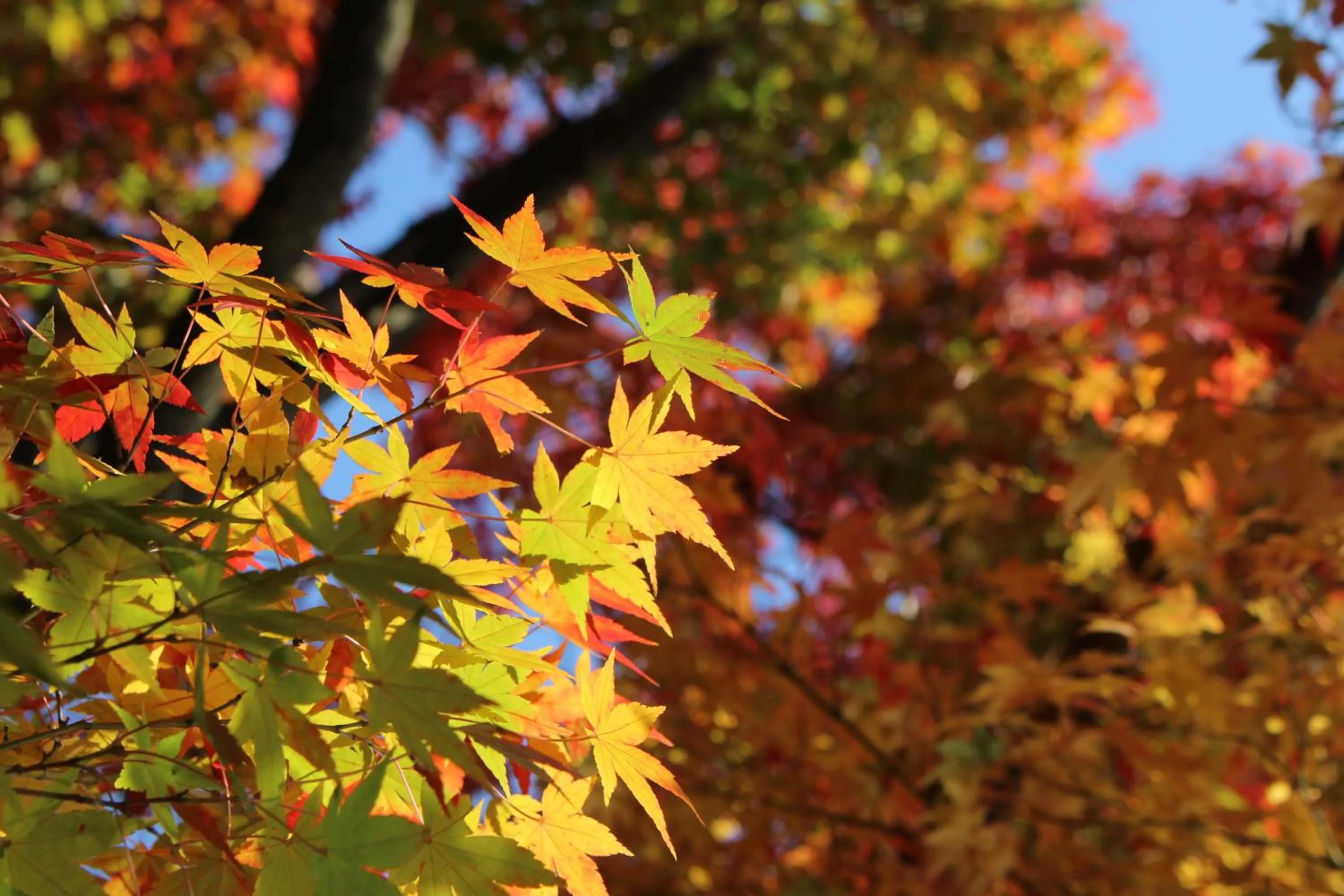 Neighbourhood in Nara Guesthouse 3F