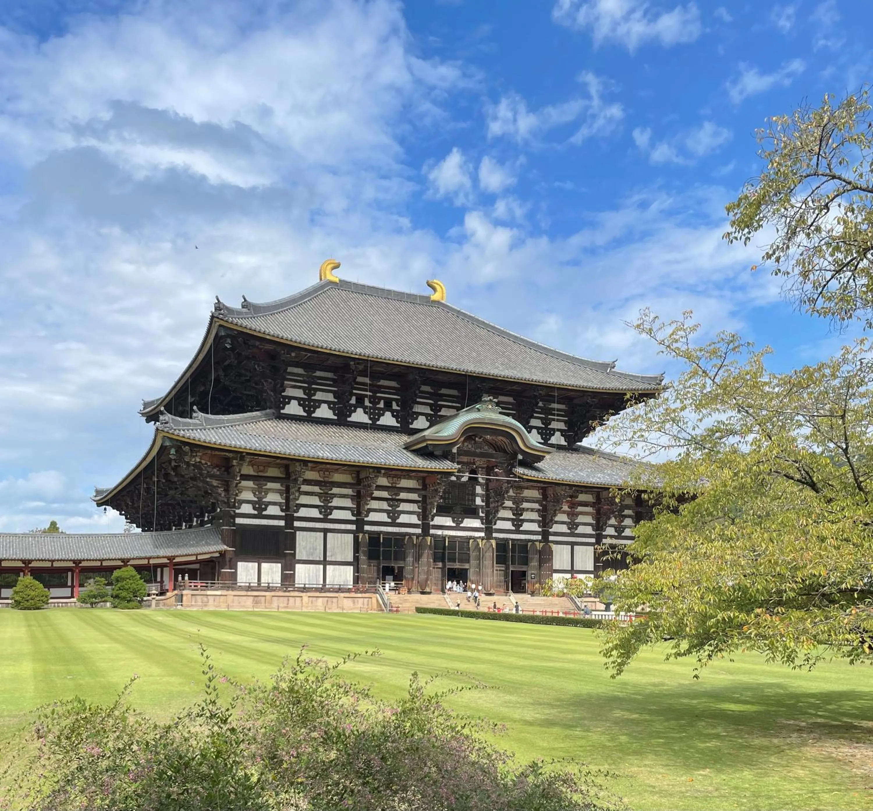 Nearby landmark in Nara Guesthouse 3F