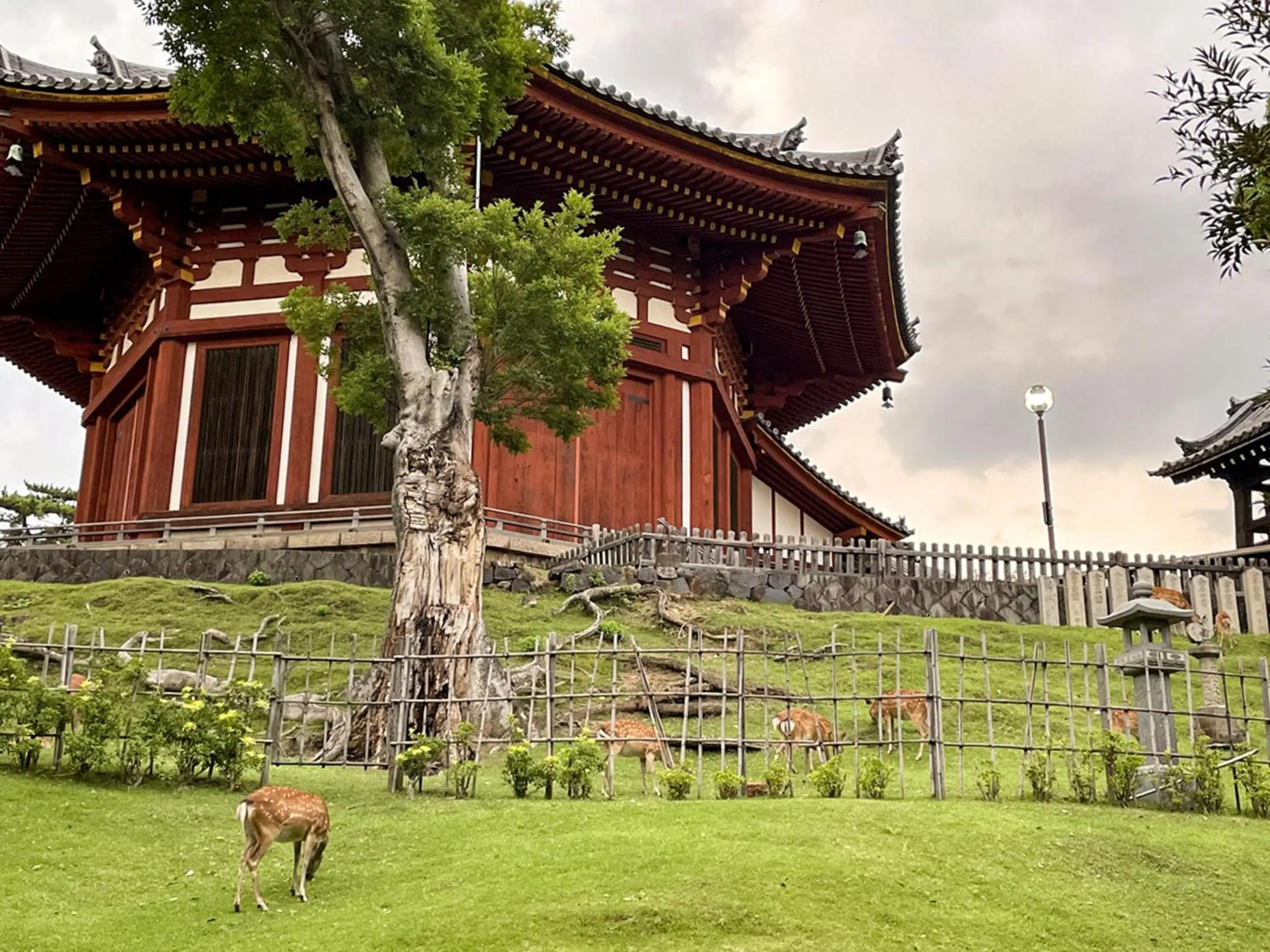 Nearby landmark in Nara Guesthouse 3F