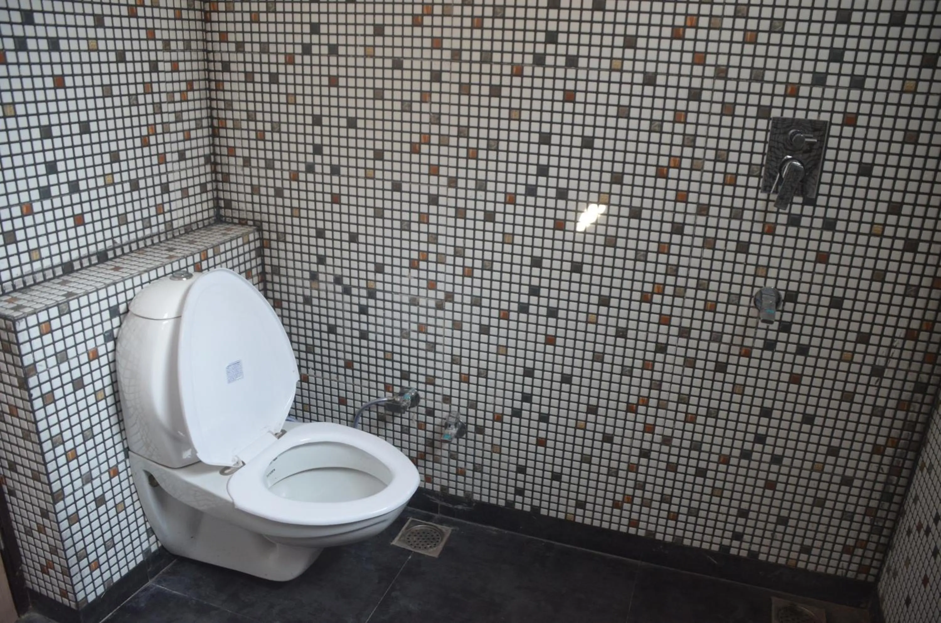 Bathroom in Goel Residency