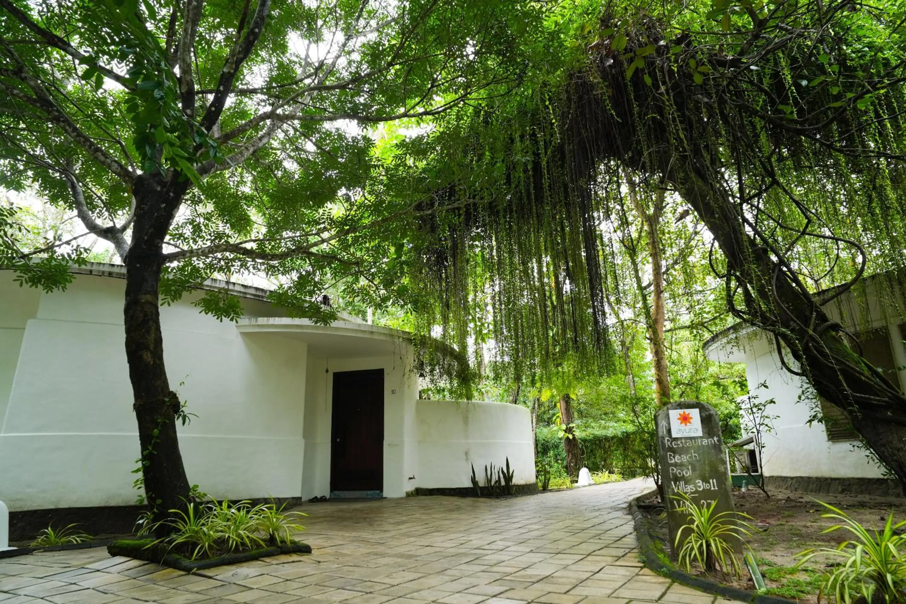 Natural landscape in Xandari Pearl Beach Resort