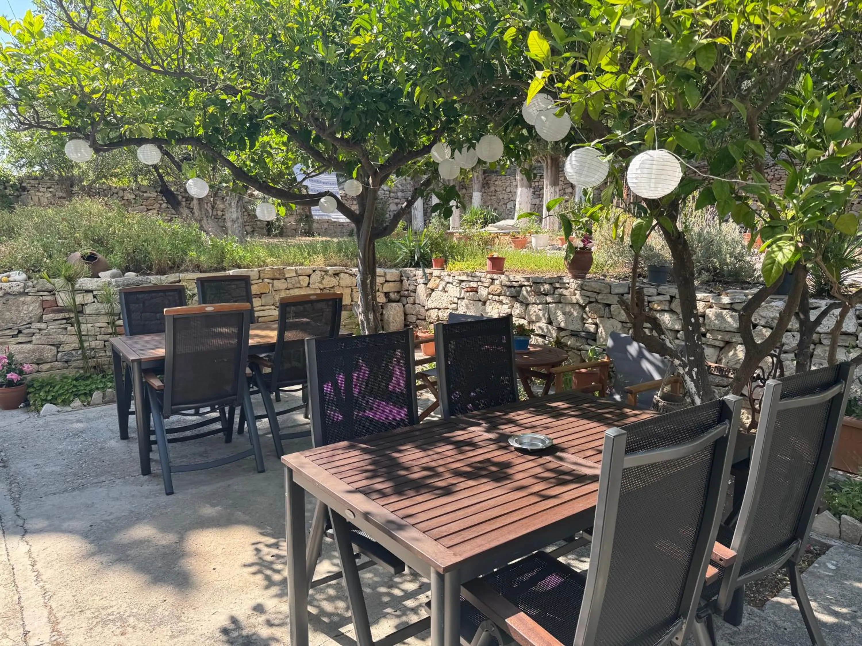 Garden in Pythaïs Hotel