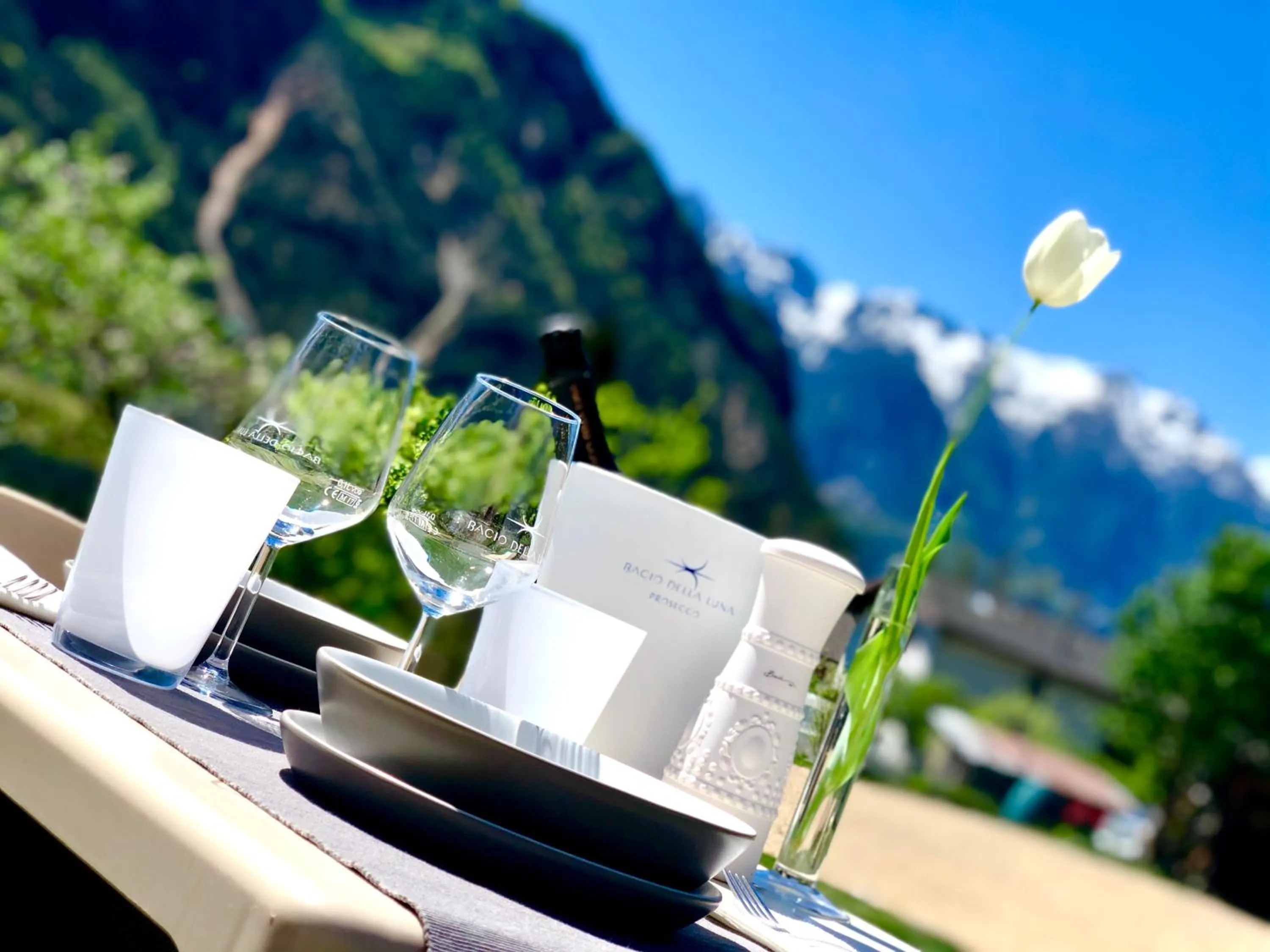 Garden in B&B Il Piccolo Principe room and breakfast