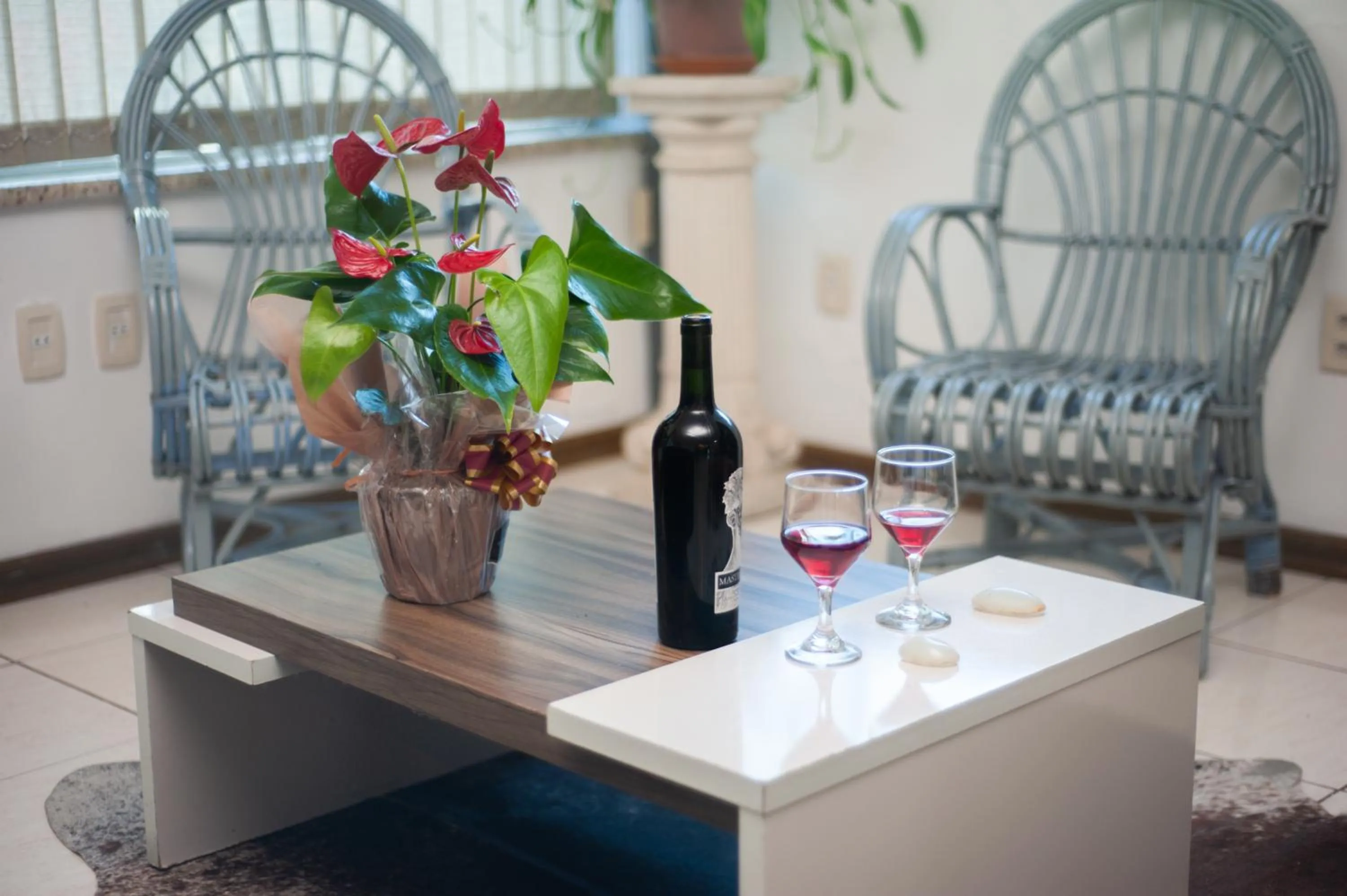 Hotel Caçula Do Pampa