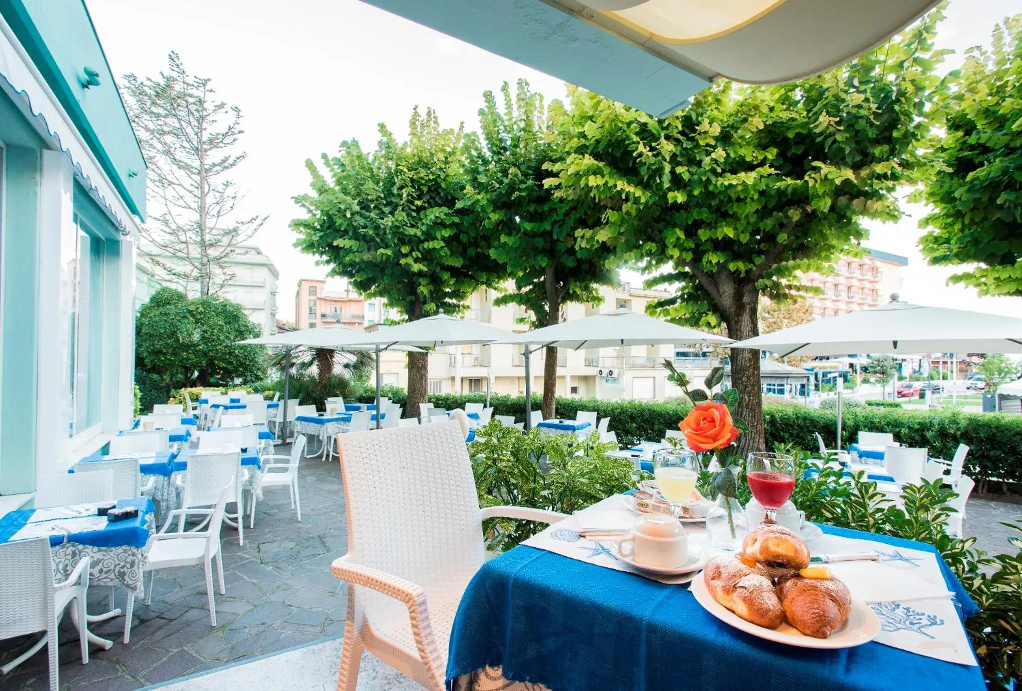 Garden in Hotel Losanna