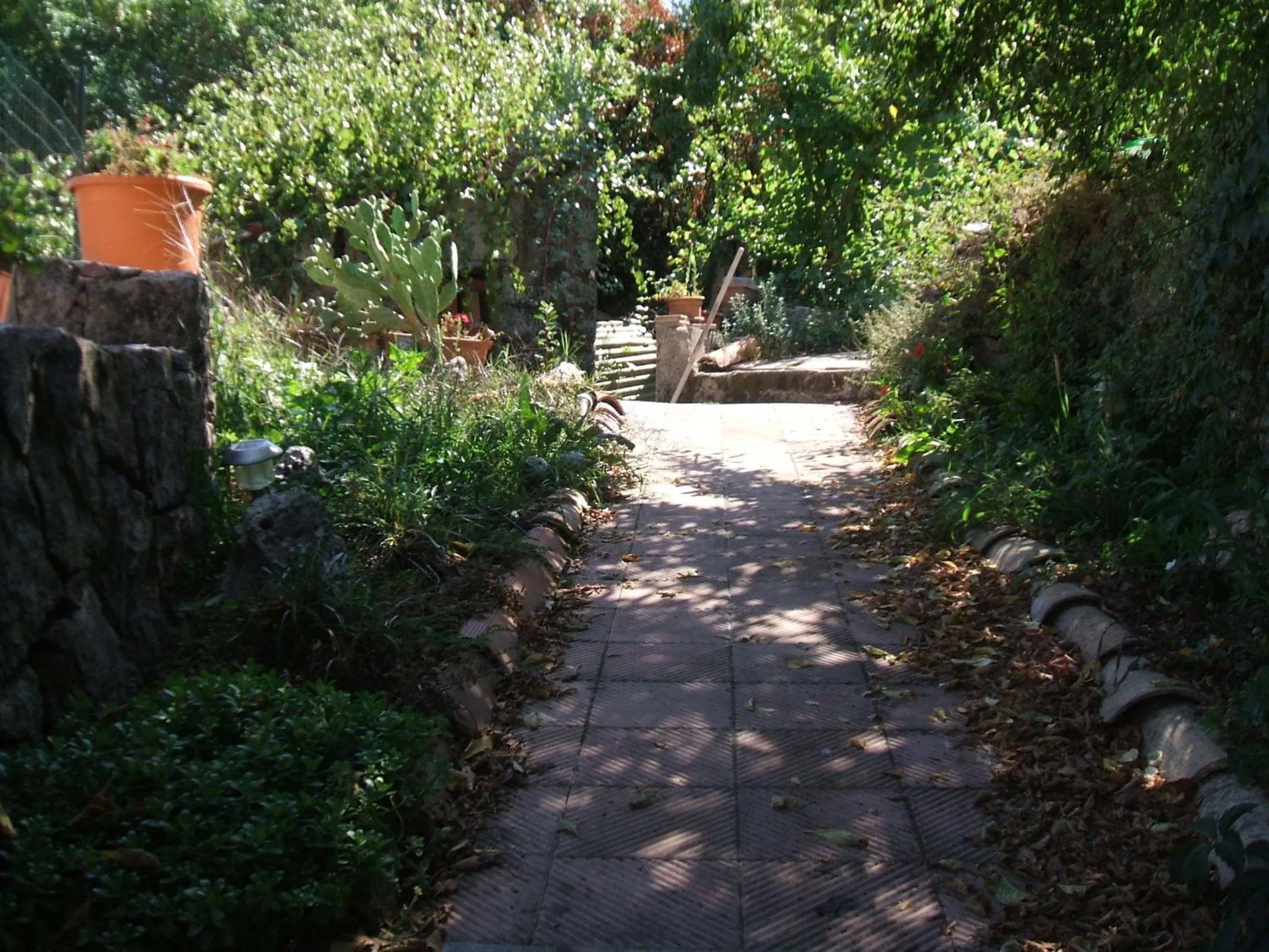 Garden in Su Ghindalu Guesthouse