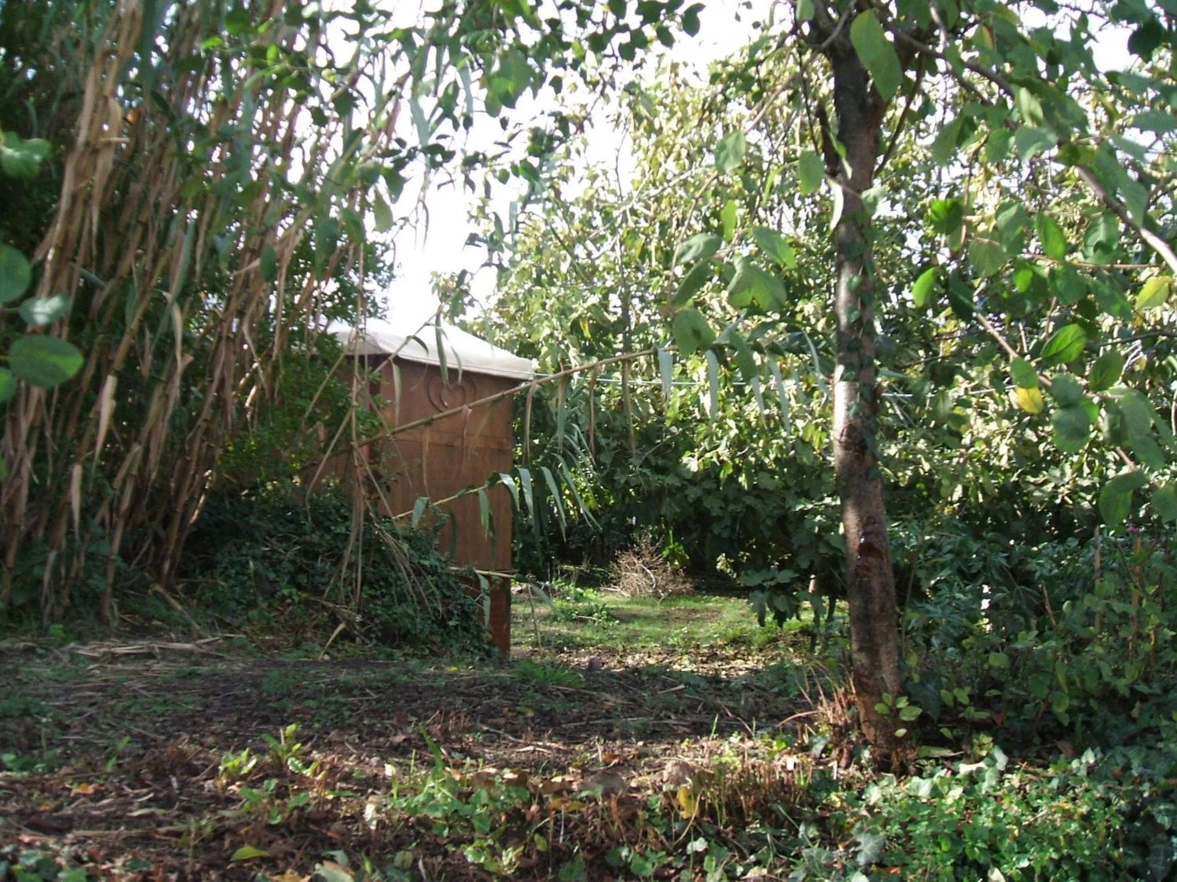 Garden in Su Ghindalu Guesthouse