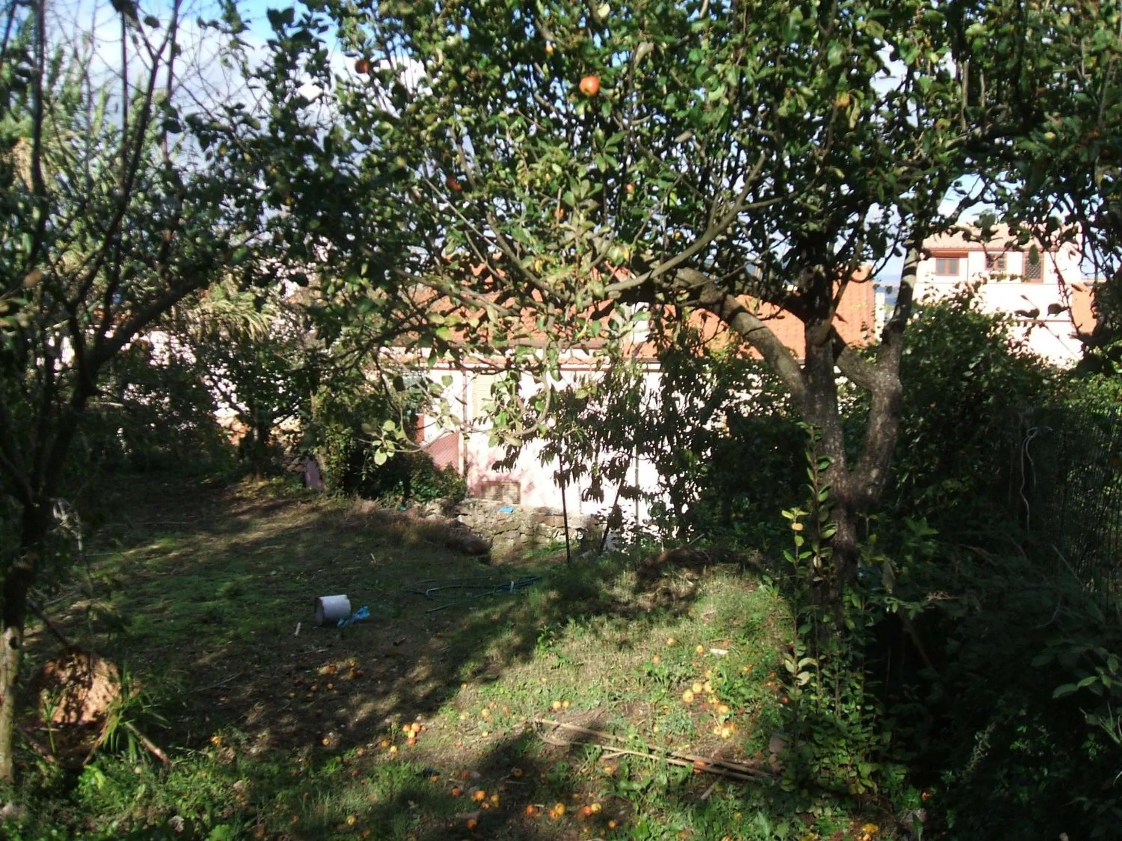 Garden in Su Ghindalu Guesthouse