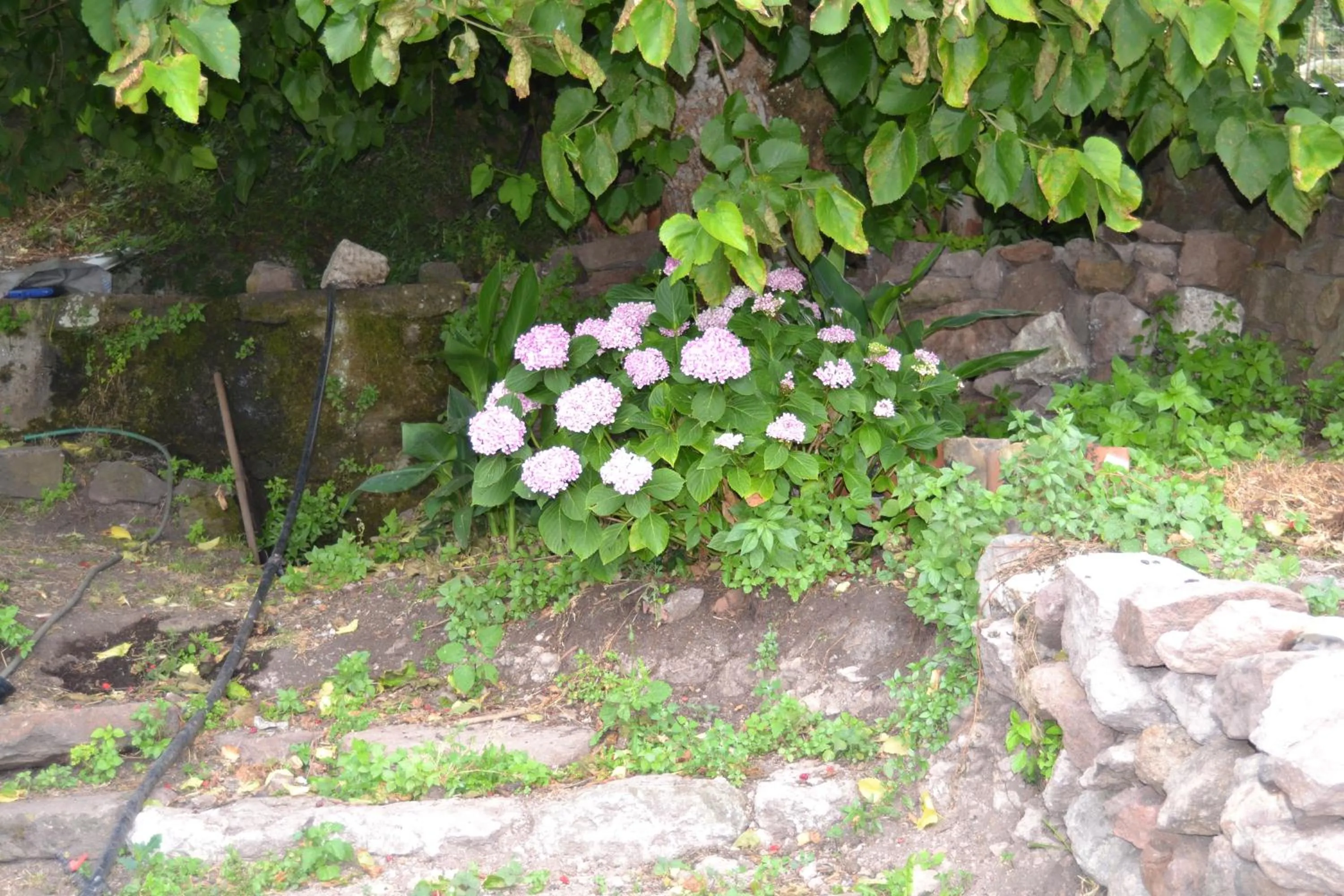 Garden in Su Ghindalu Guesthouse