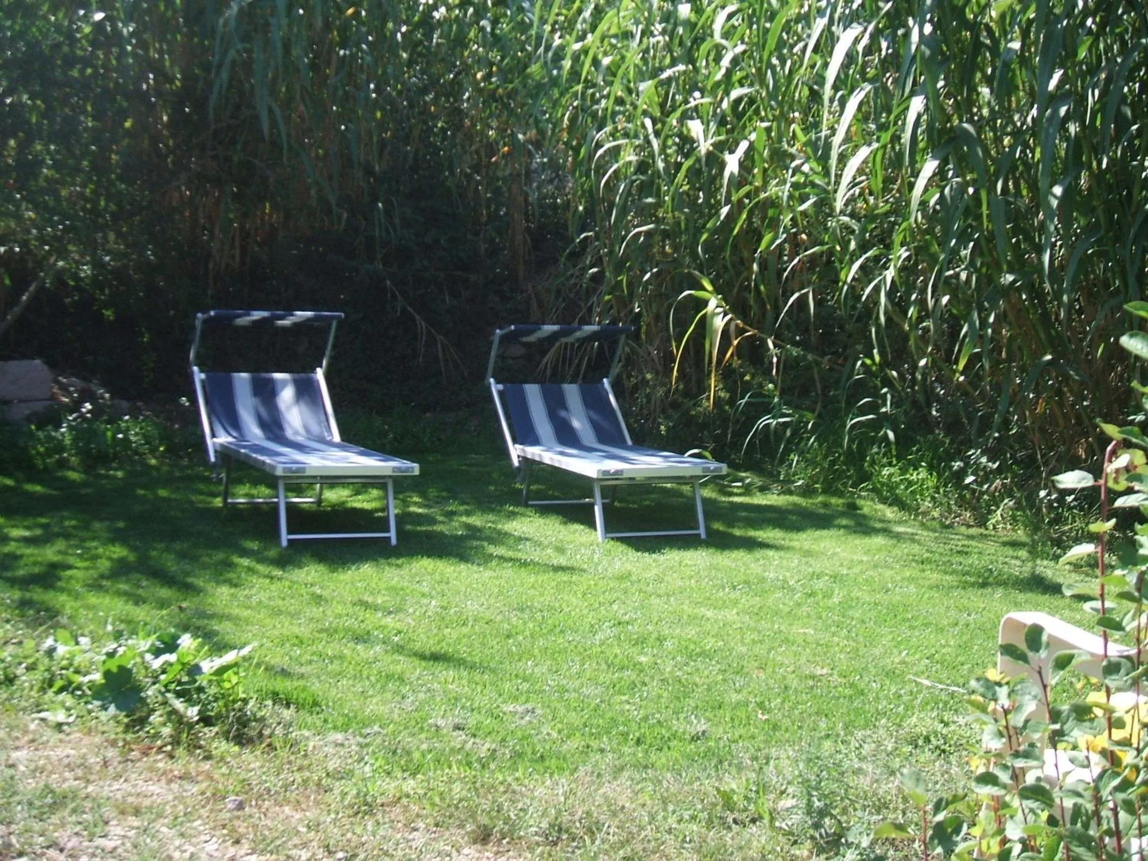 Garden in Su Ghindalu Guesthouse