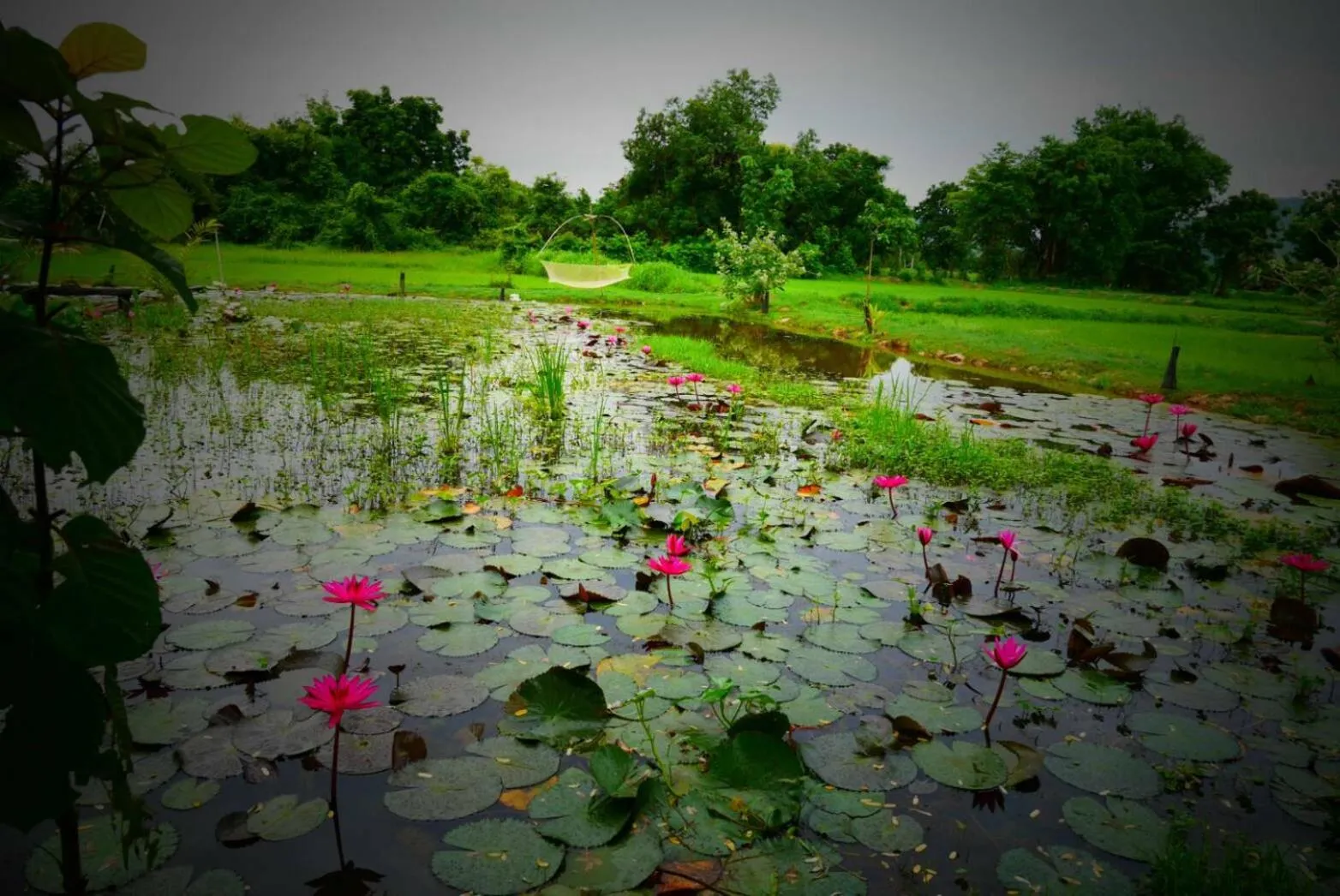 Property building in Sukhothai City Resort