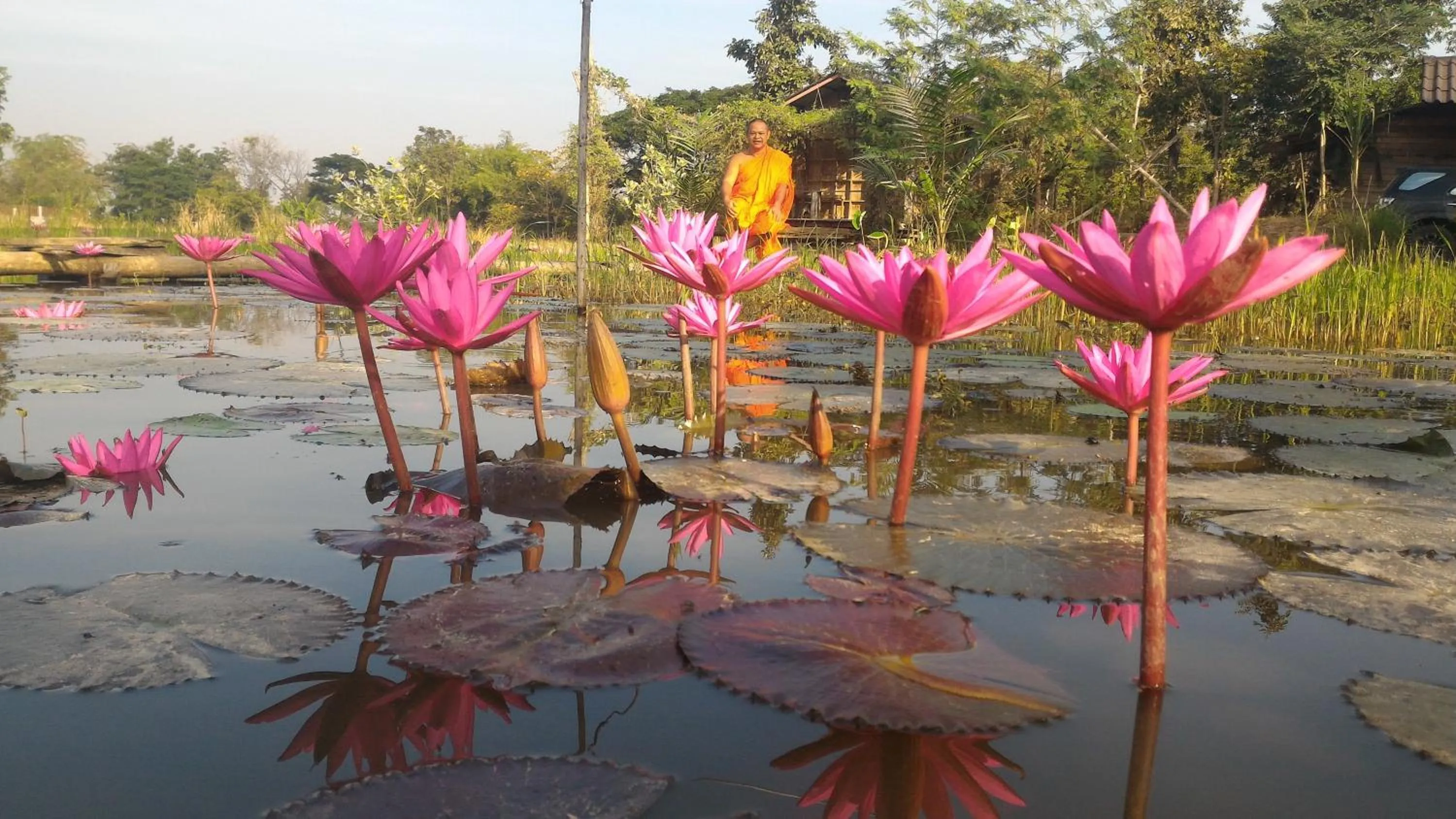 Aqua park in Sukhothai City Resort