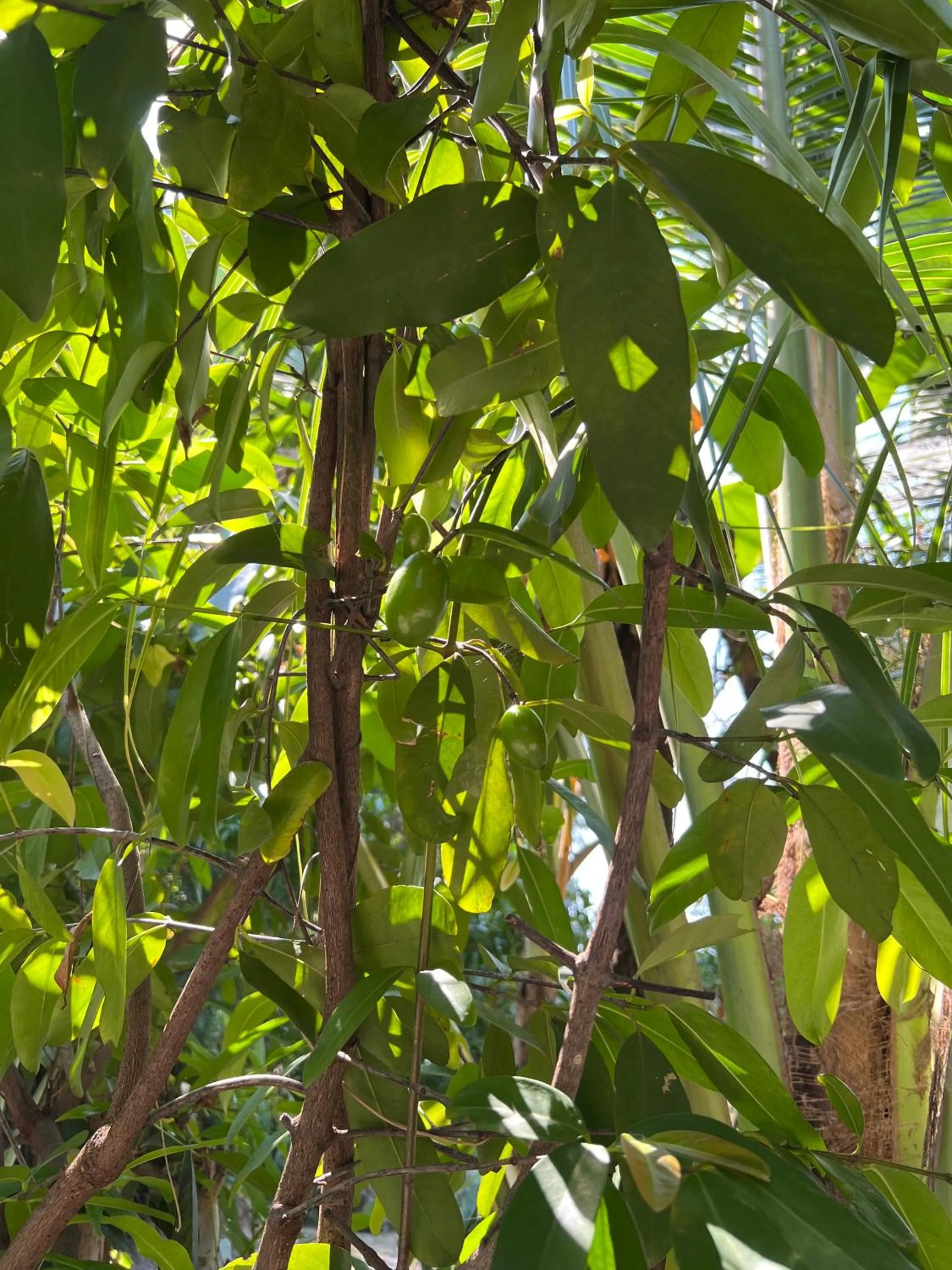 Sukhothai City Resort