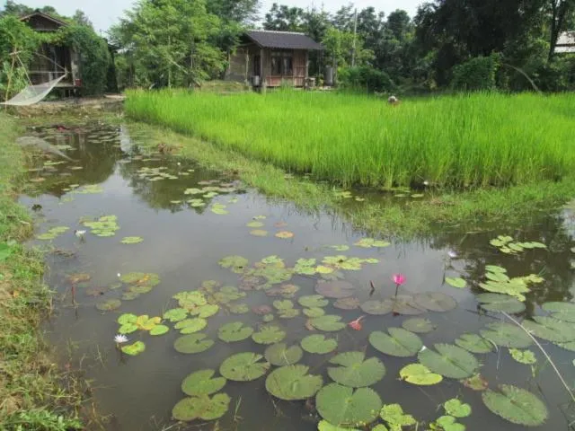 Activities in Sukhothai City Resort