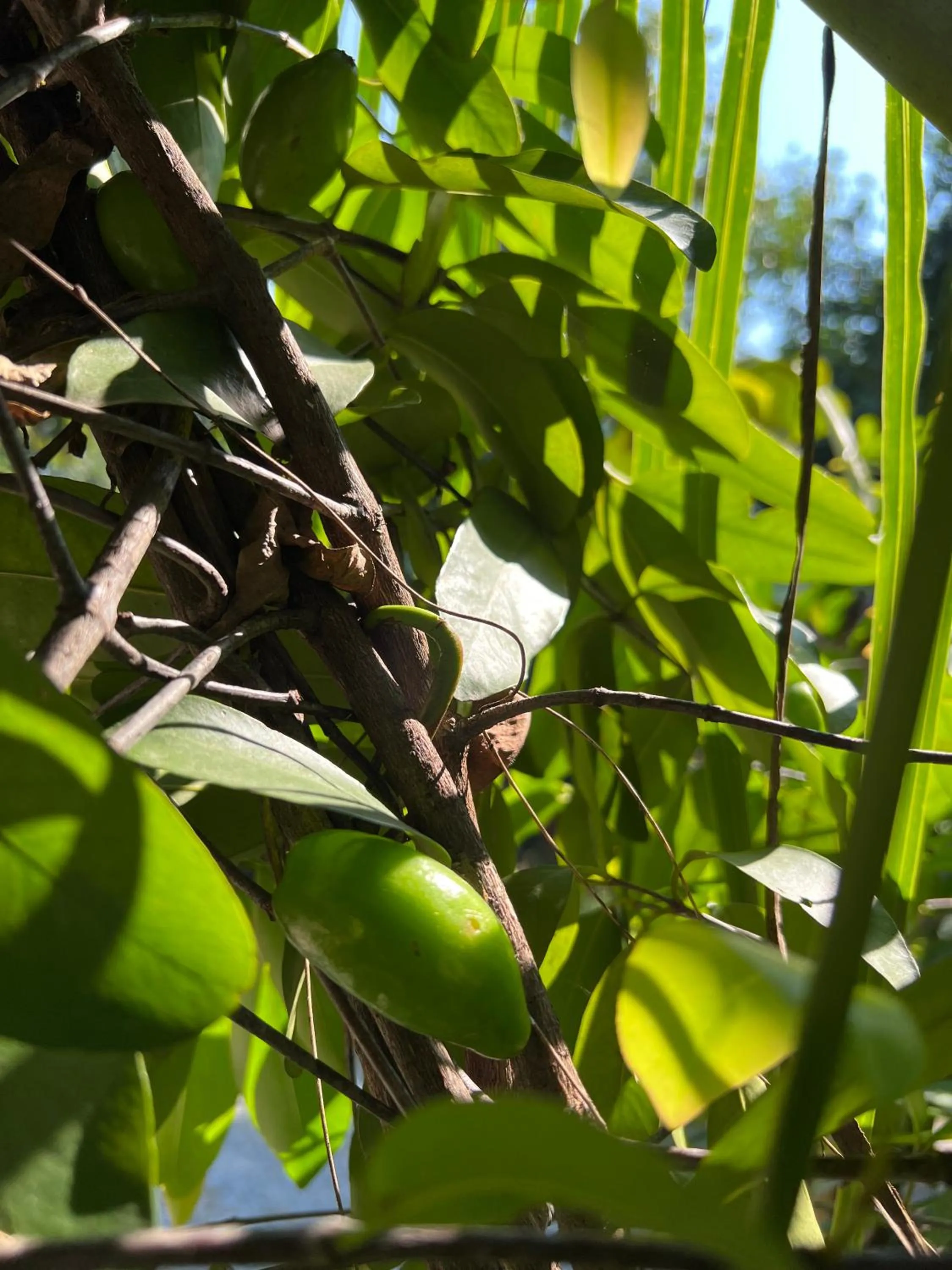 Sukhothai City Resort