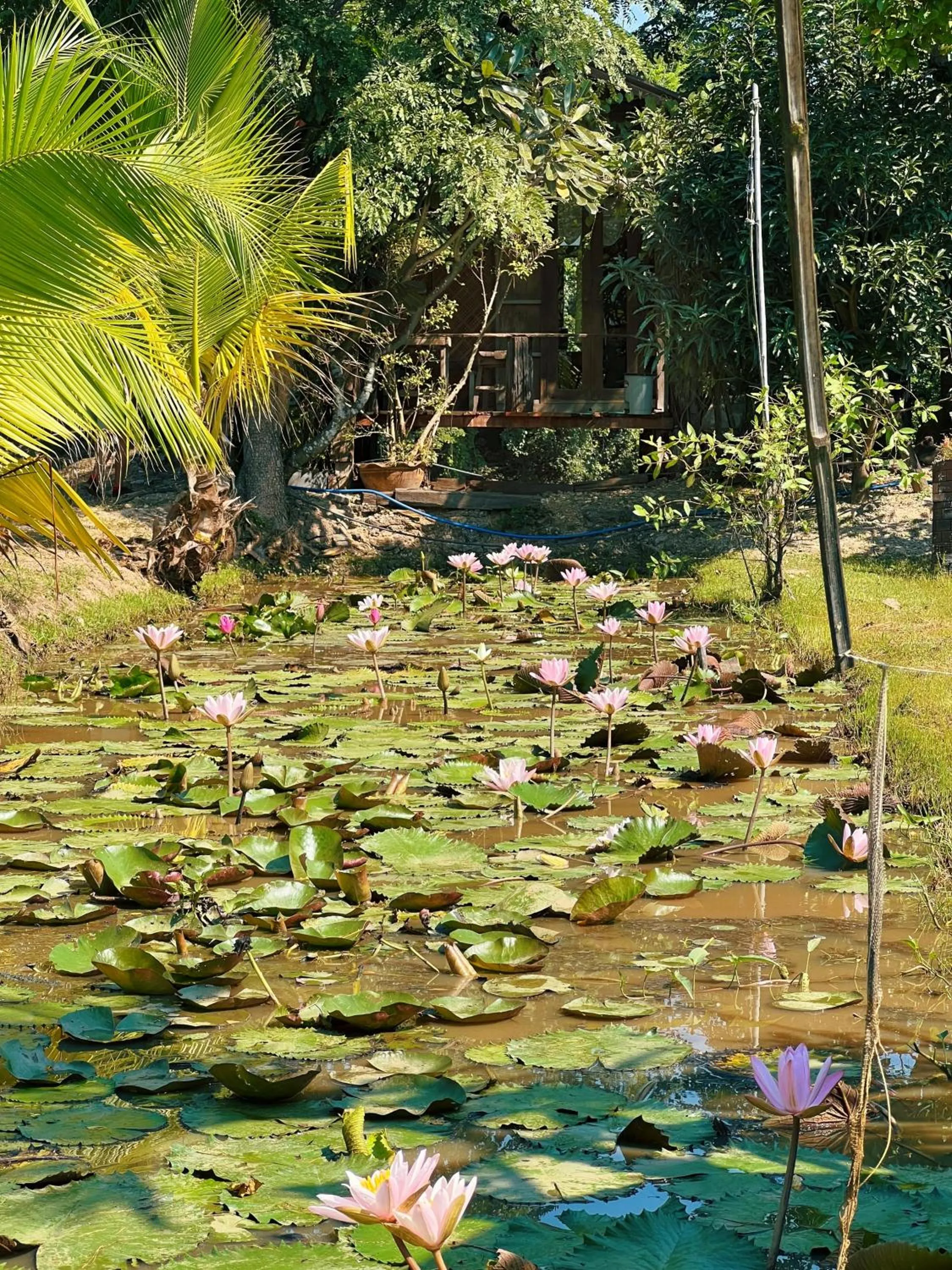 Sukhothai City Resort