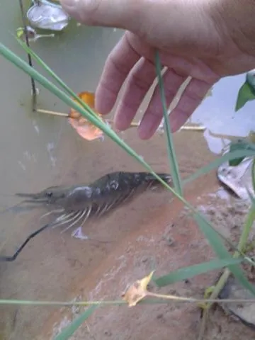 Property building in Sukhothai City Resort