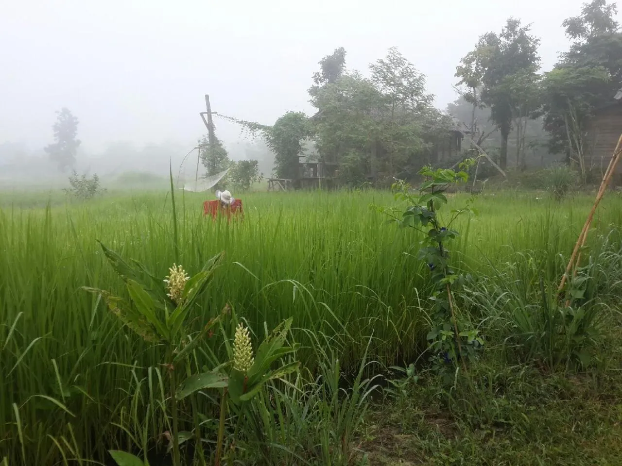 Sukhothai City Resort
