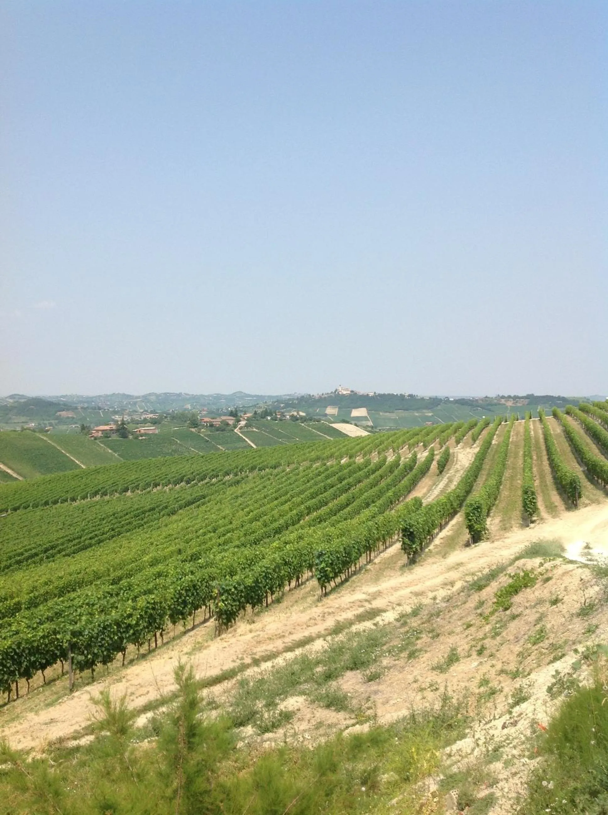 View (from property/room) in Agriturismo La Casa in Collina