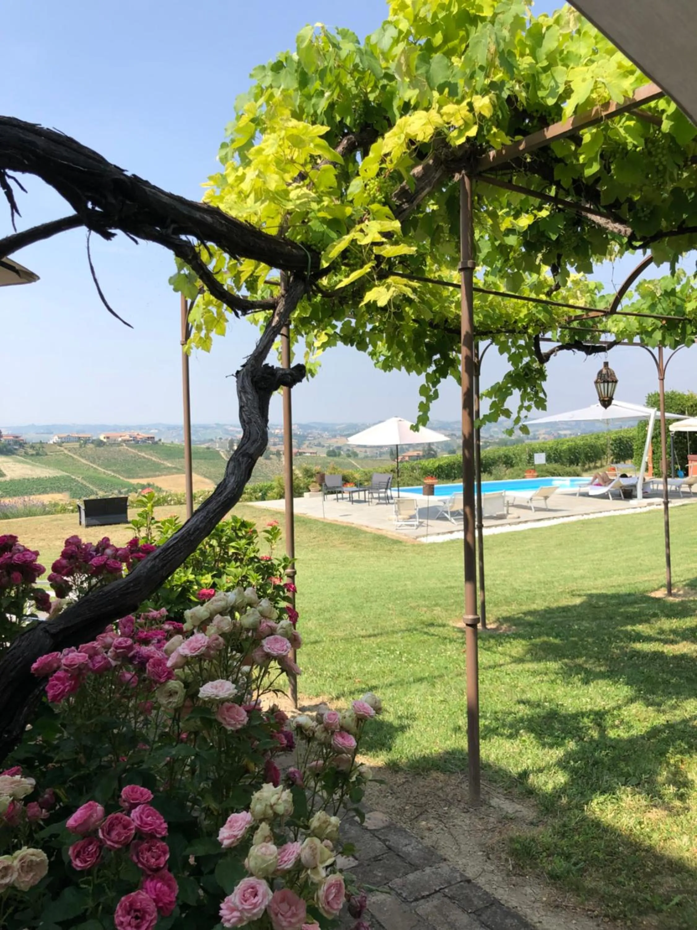Garden view in Agriturismo La Casa in Collina