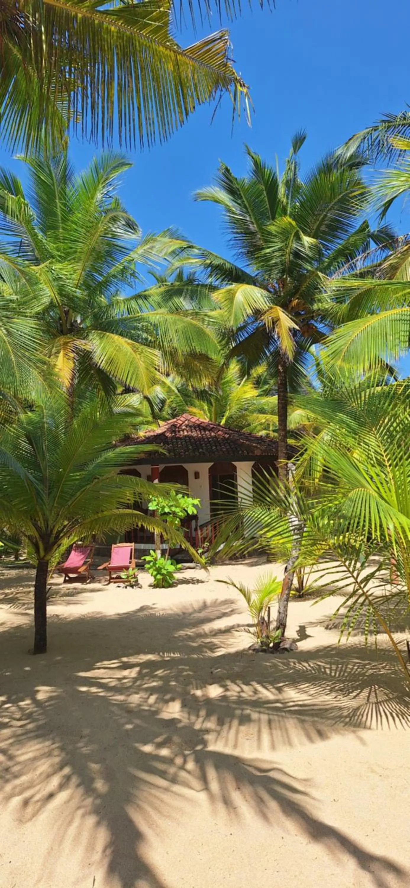Patini Bungalows - Beach Garden