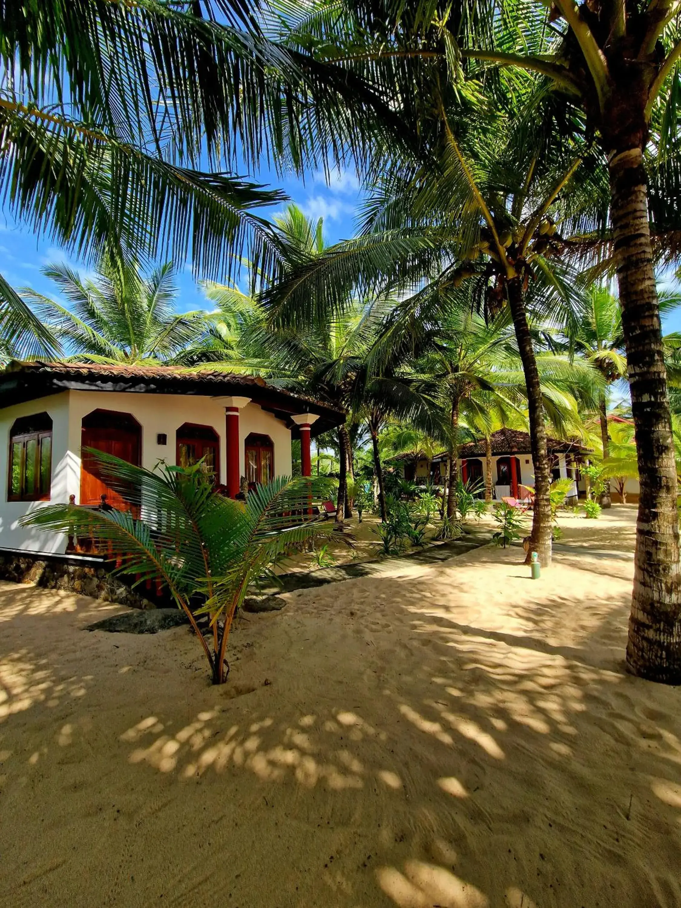 Patini Bungalows - Beach Garden Patini Bungalows - Beach Garden
