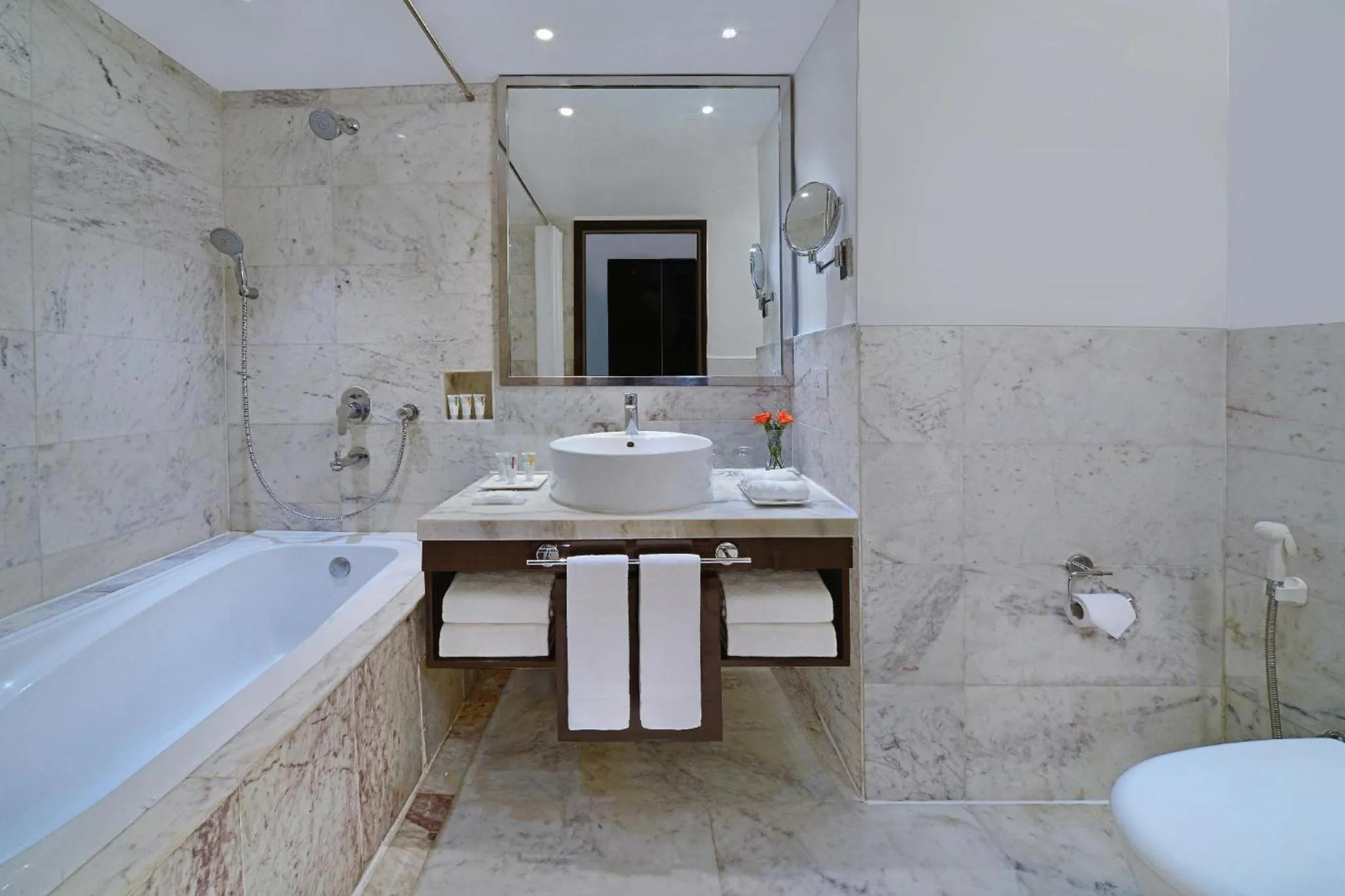 Bath in Radisson Hotel Agra