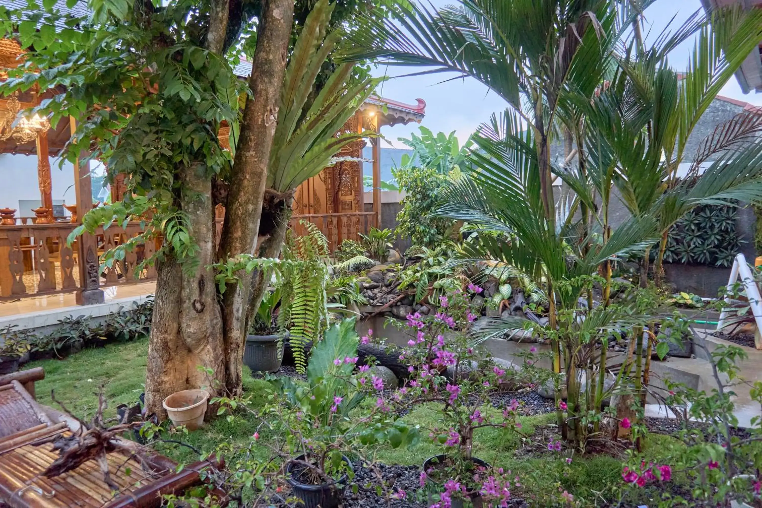 Garden view in Sakanti Inn Wonosobo Garden view in Sakanti Inn Wonosobo