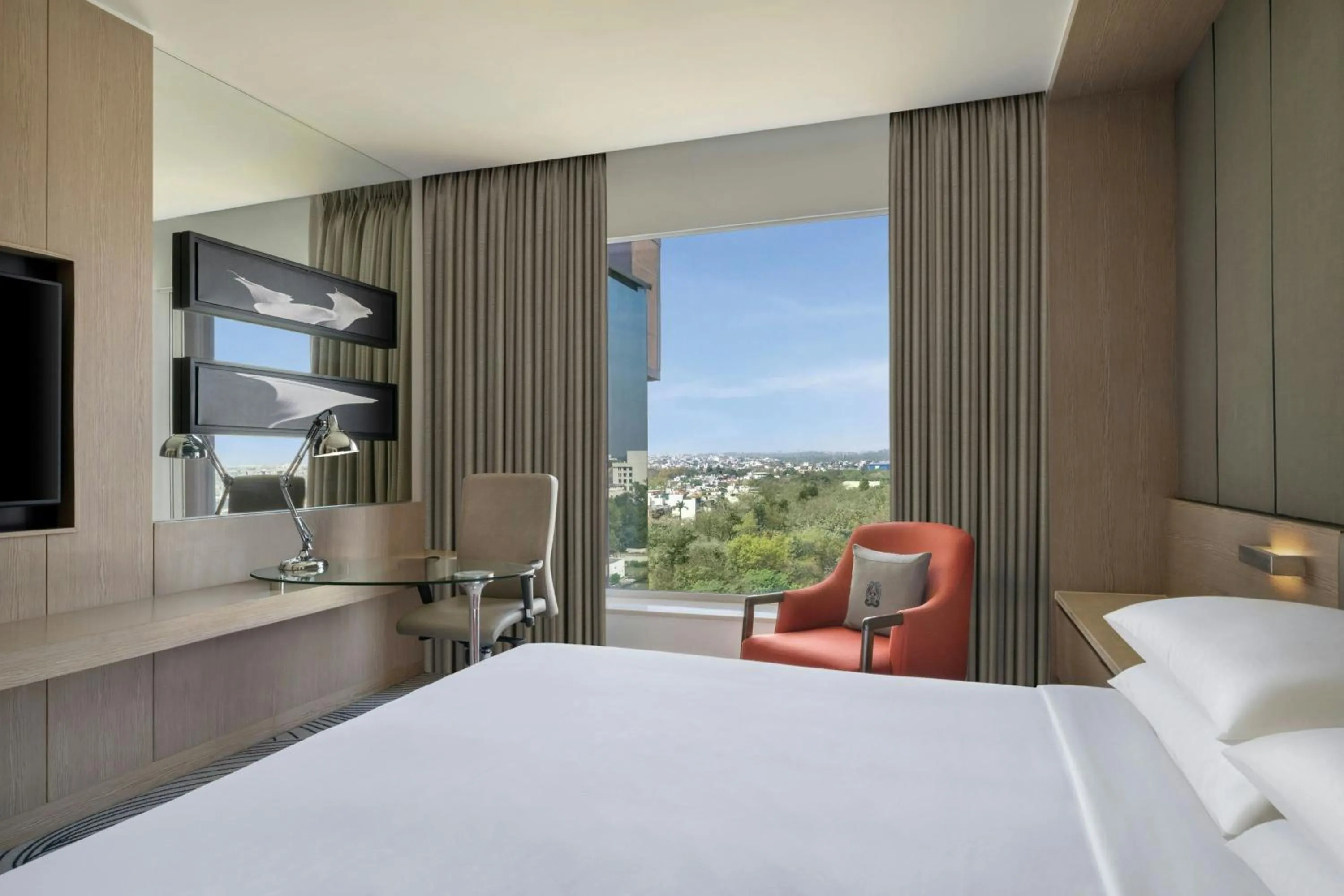 Photo of the whole room, Bed in Sheraton New Delhi Hotel