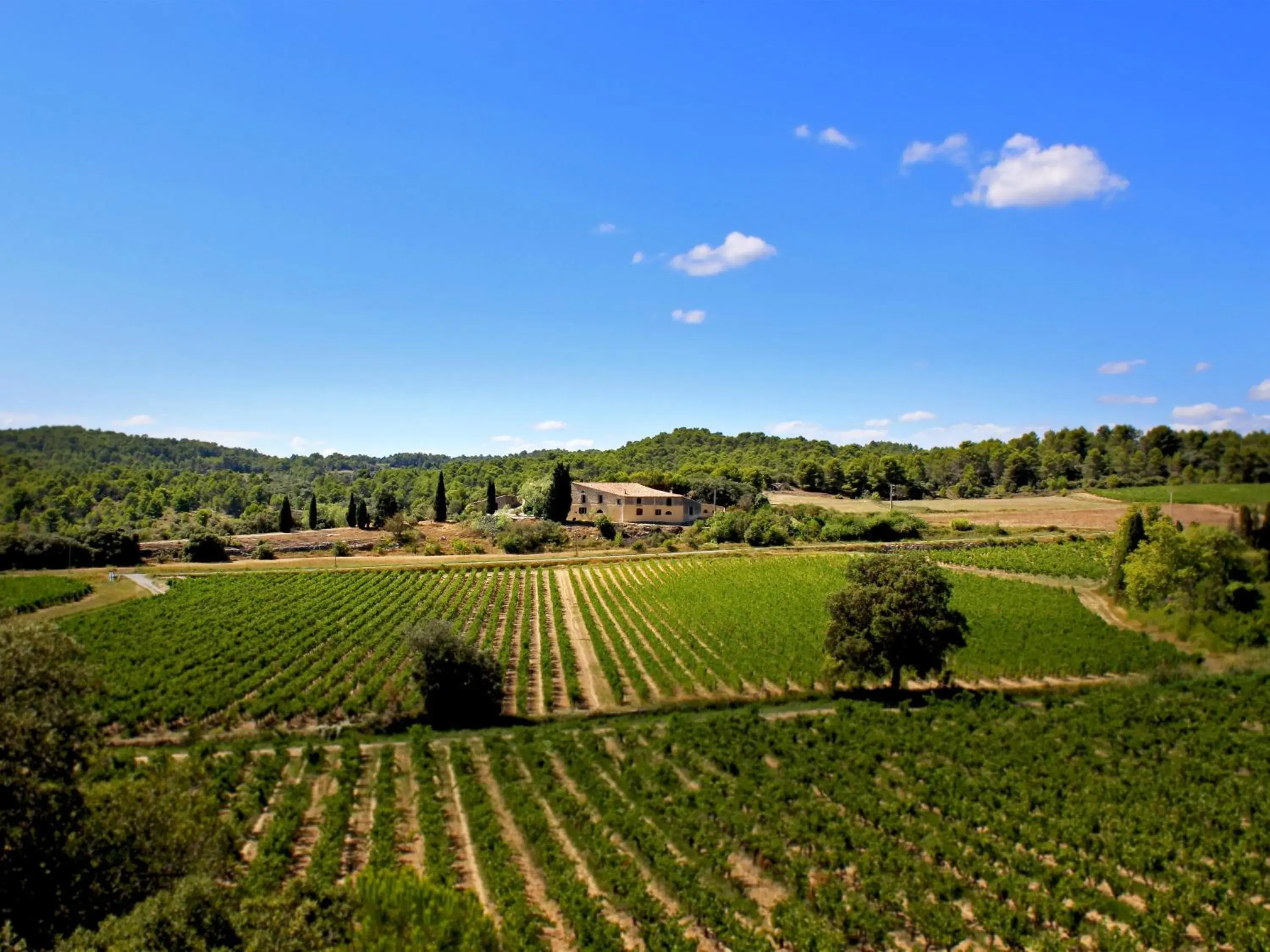 Domaine de Palats Domaine de Palats
