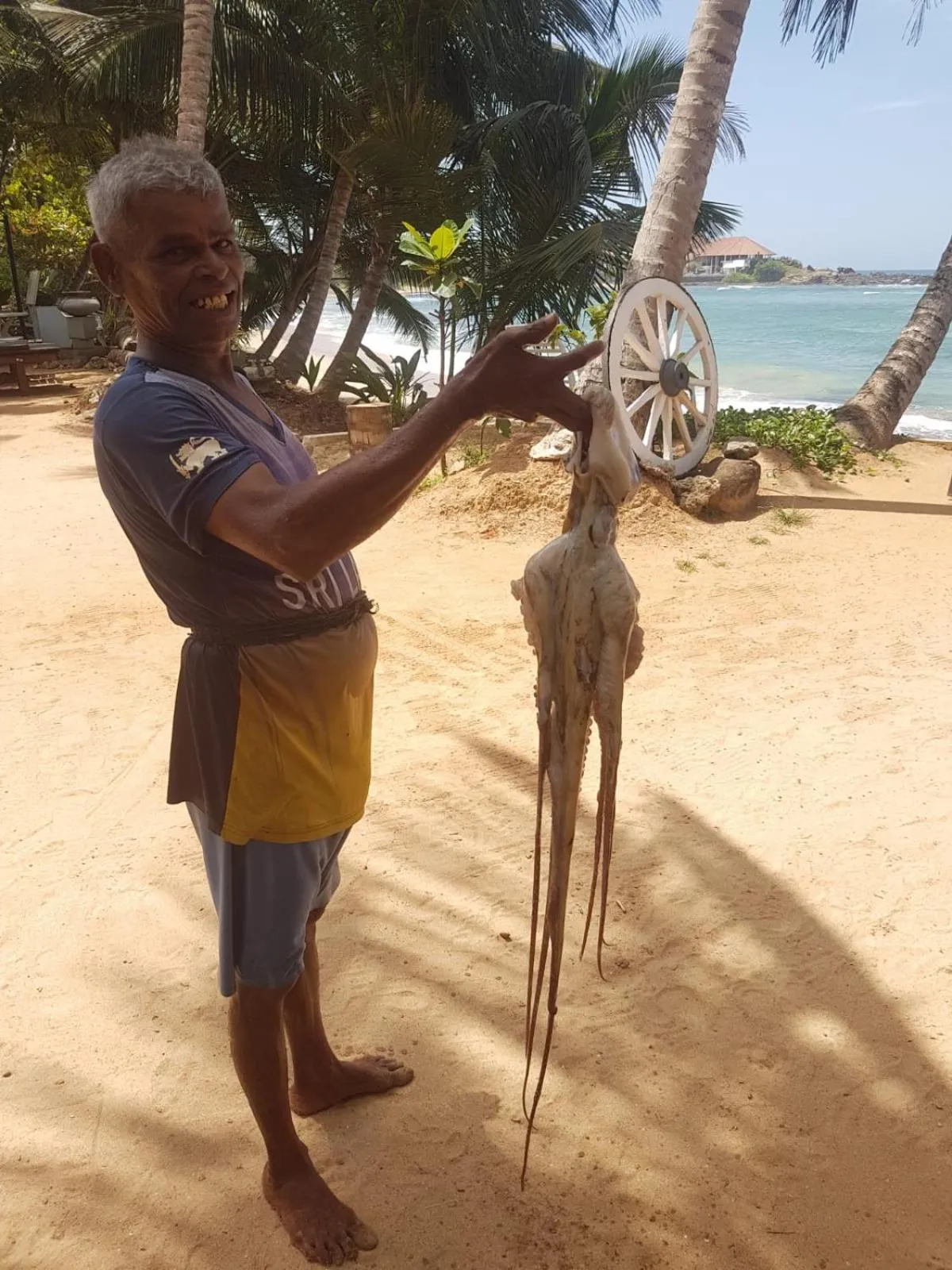 Restaurant/places to eat in Coconut Palm beach restaurant and rooms