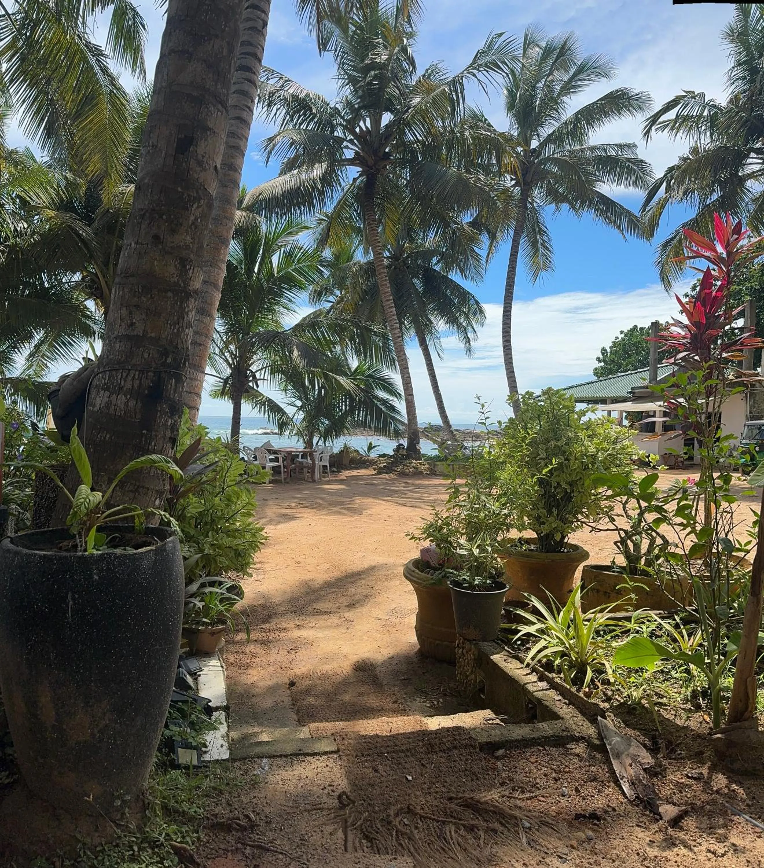 Inner courtyard view in Coconut Palm beach restaurant and rooms