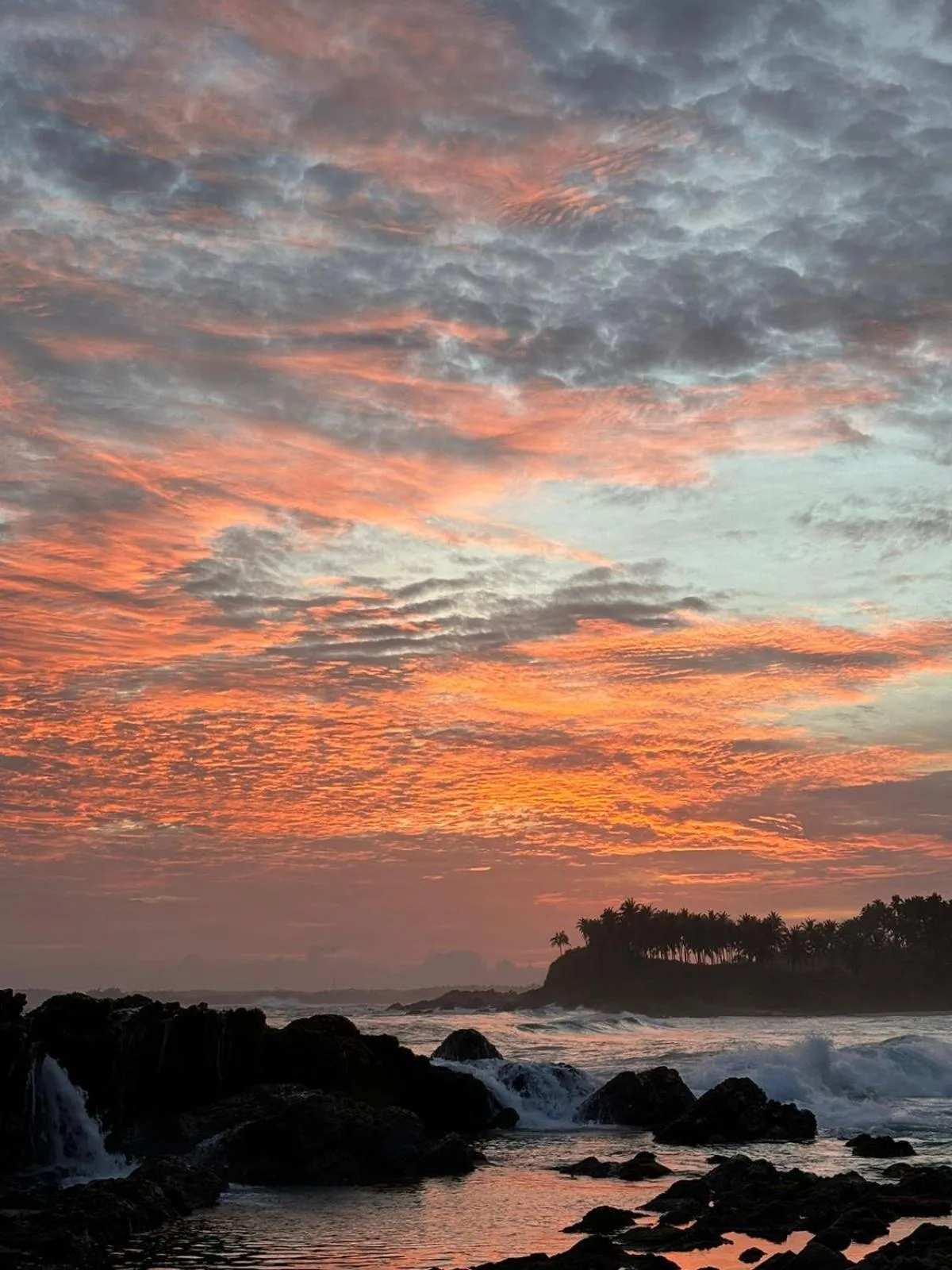 Coconut Palm beach restaurant and rooms