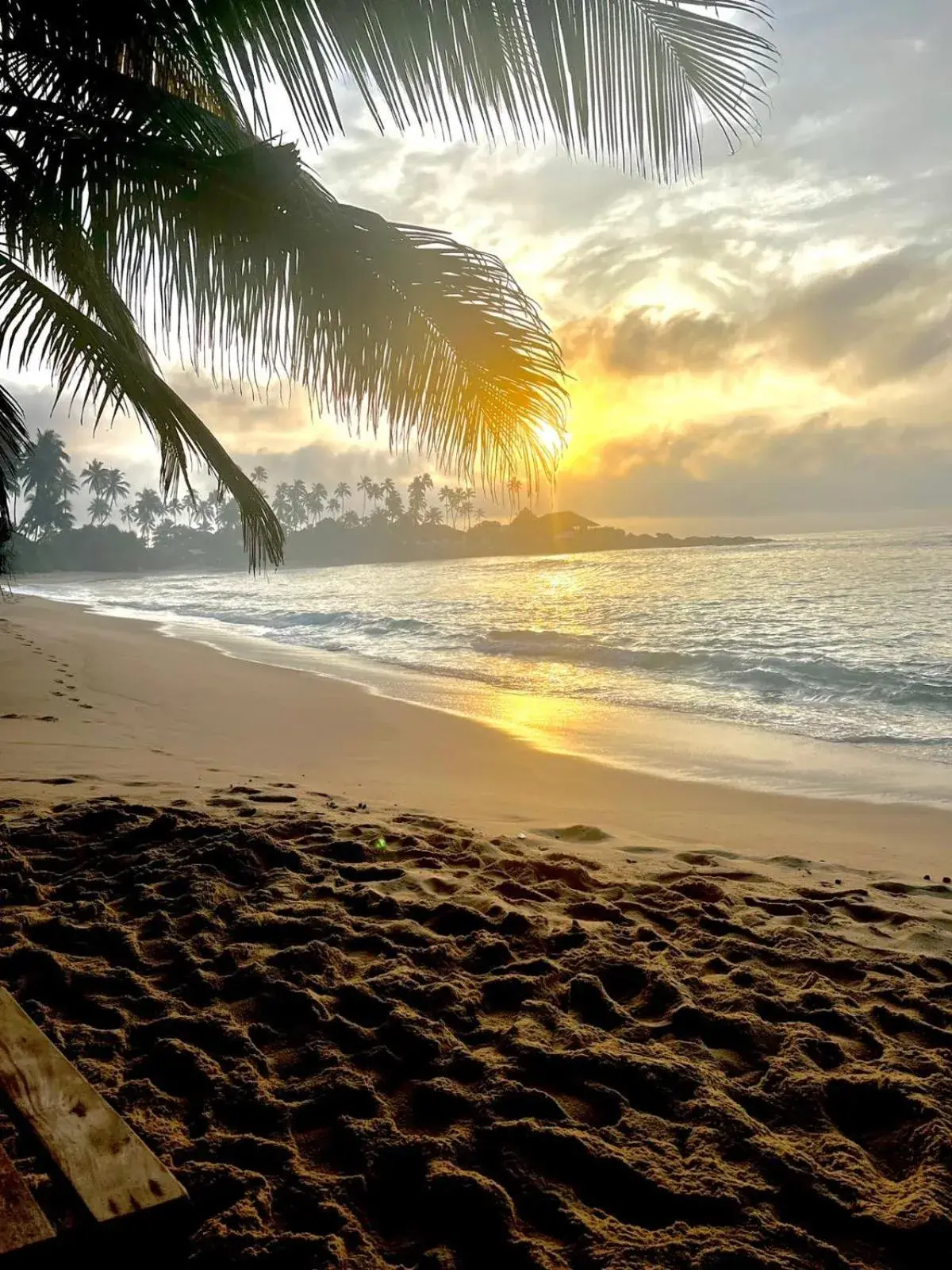 Coconut Palm beach restaurant and rooms Coconut Palm beach restaurant and rooms