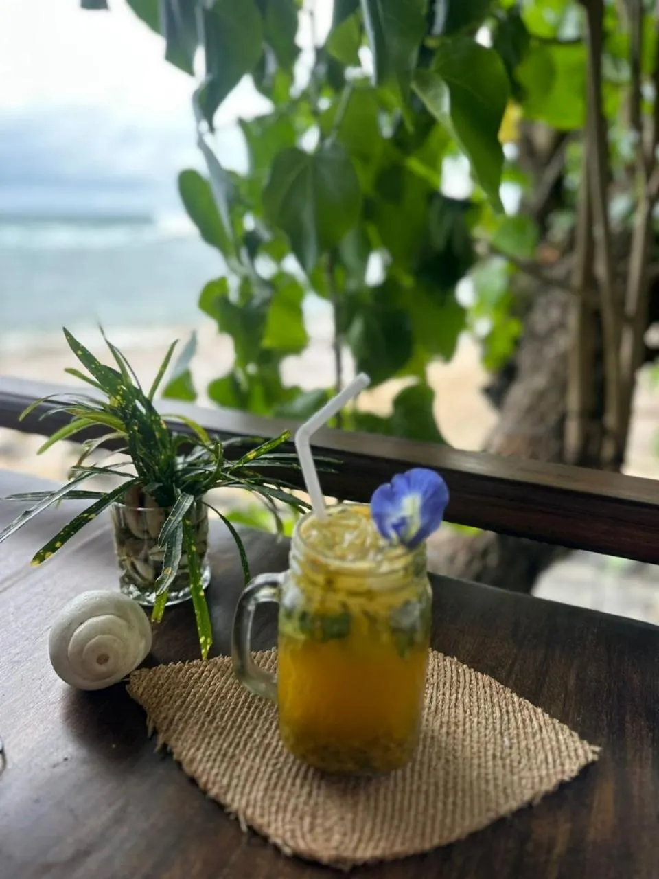 Restaurant/places to eat in Coconut Palm beach restaurant and rooms