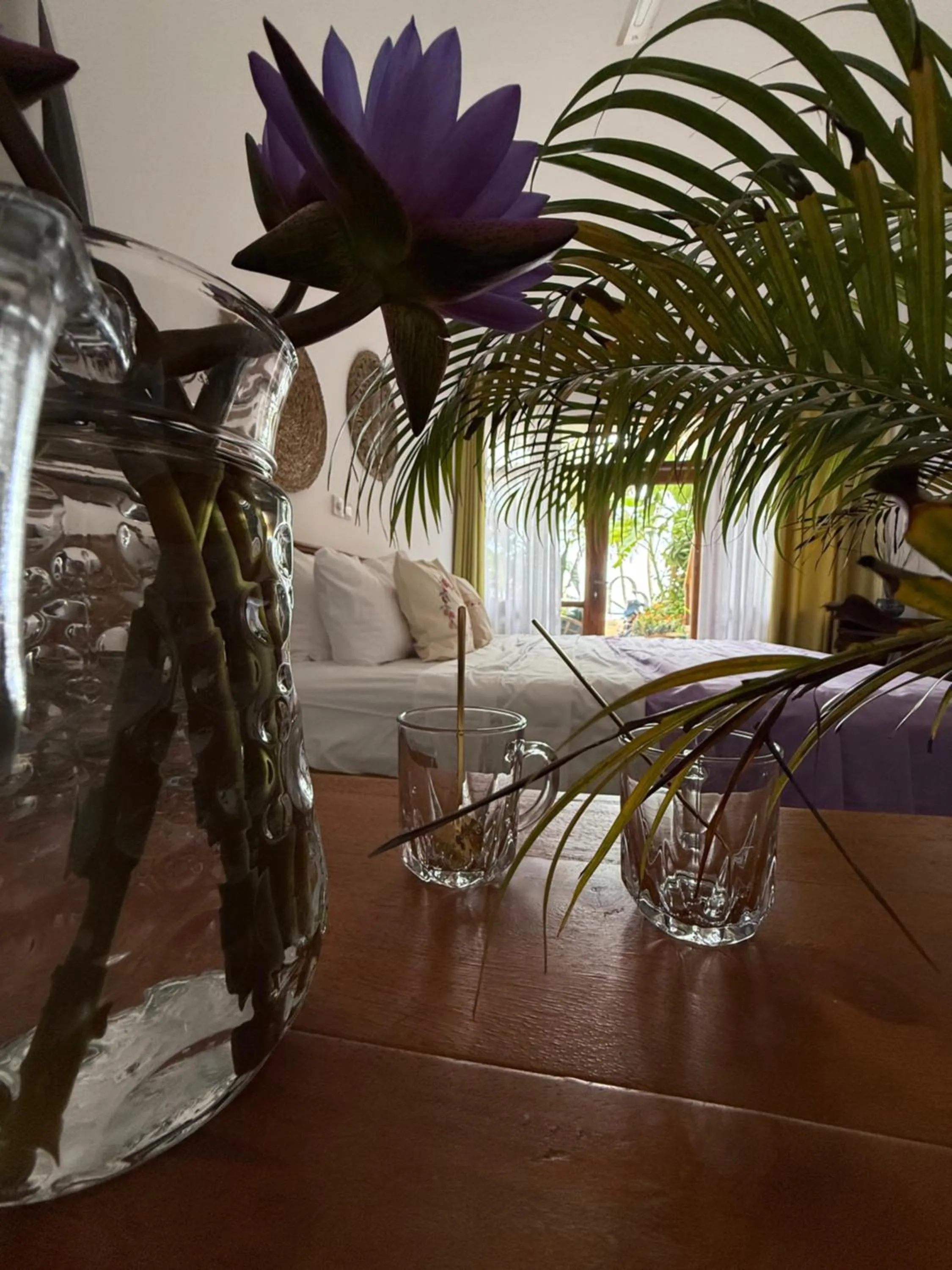 Coconut Palm beach restaurant and rooms