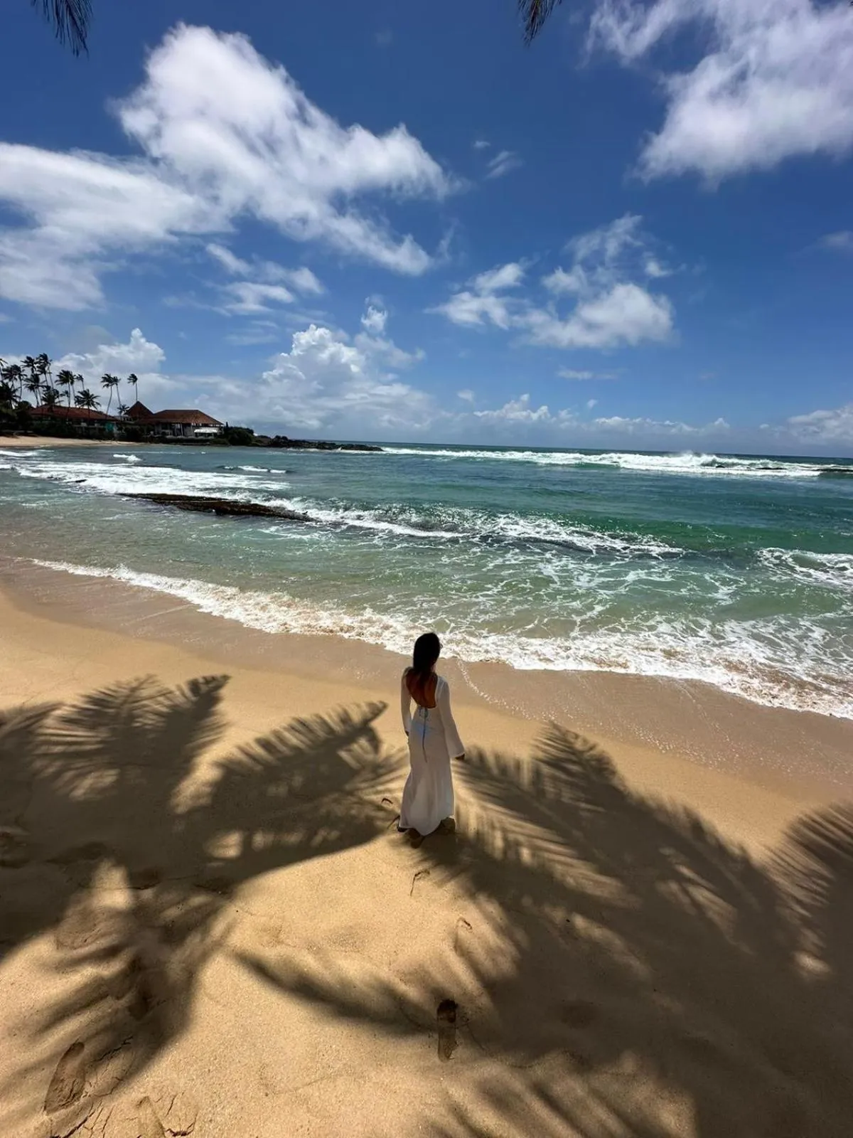 Coconut Palm beach restaurant and rooms