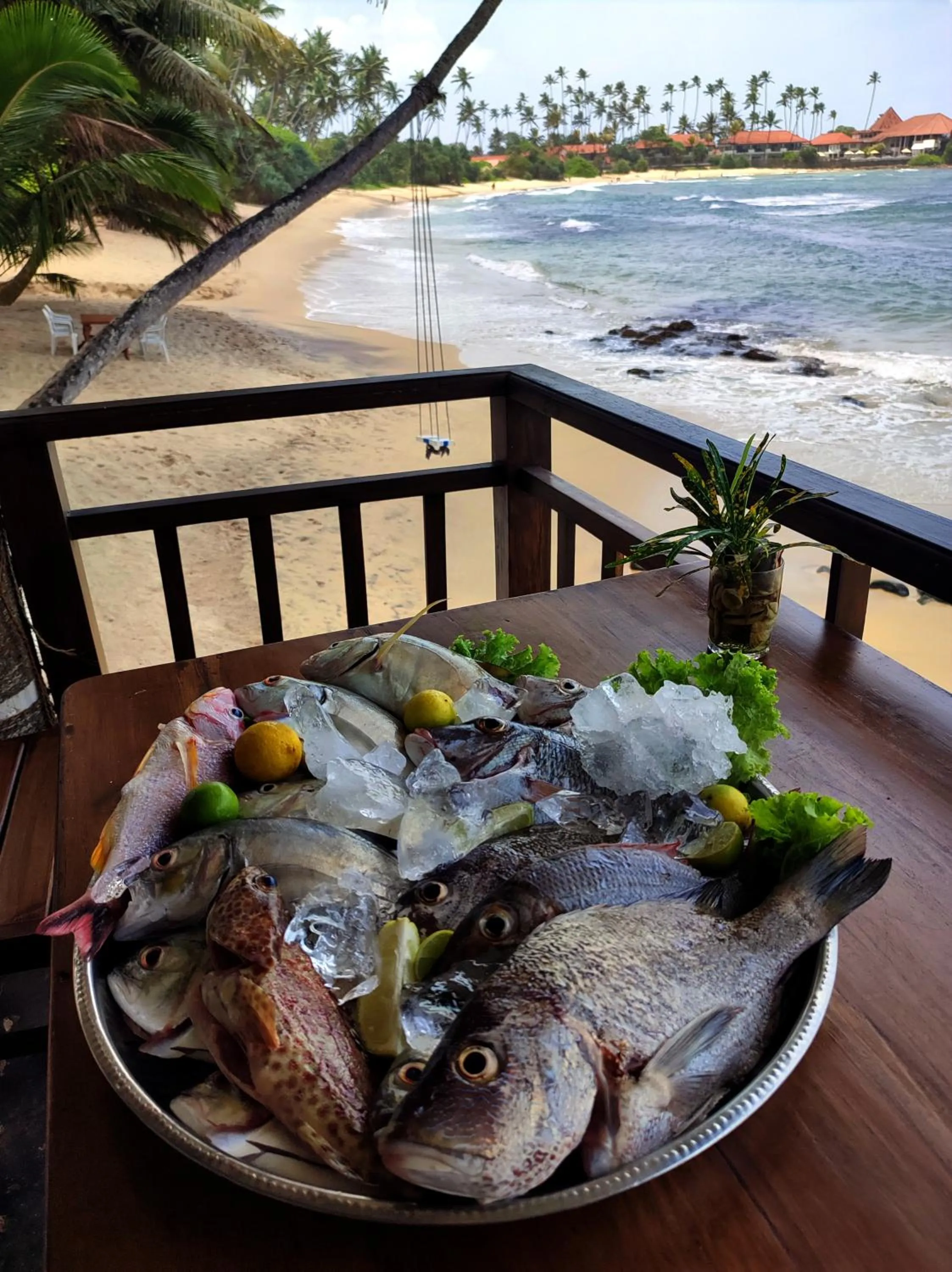 Restaurant/places to eat in Coconut Palm beach restaurant and rooms