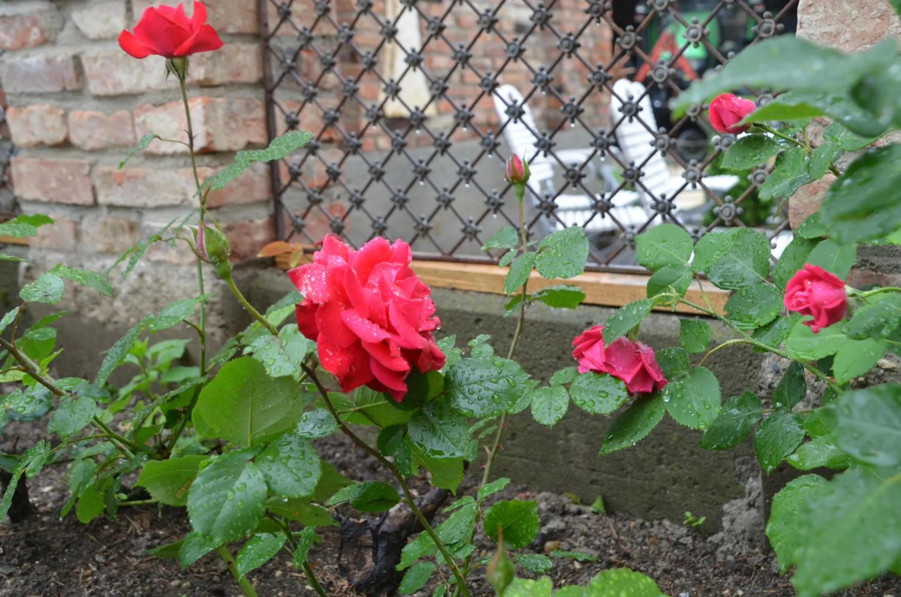 Garden in Landhotel Zum Adler