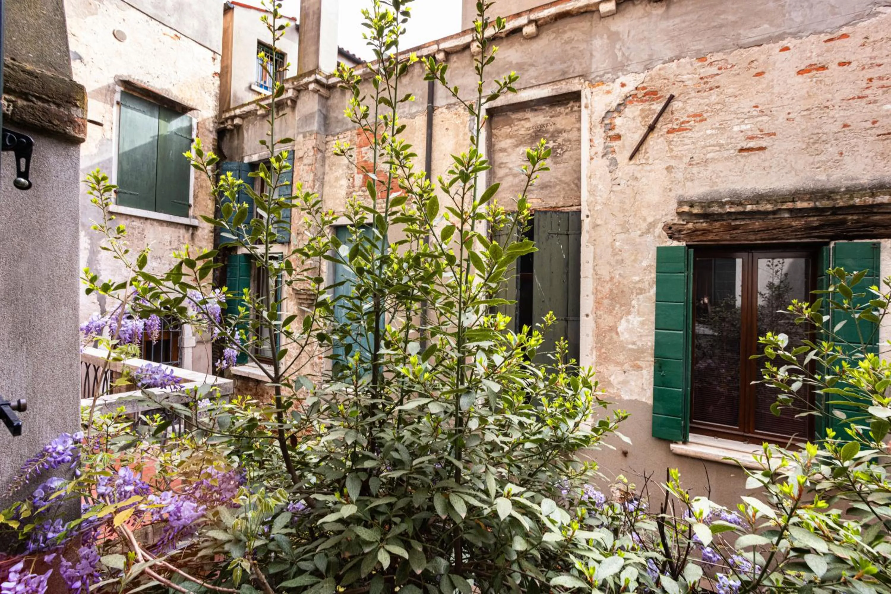 Garden in Antico Portego