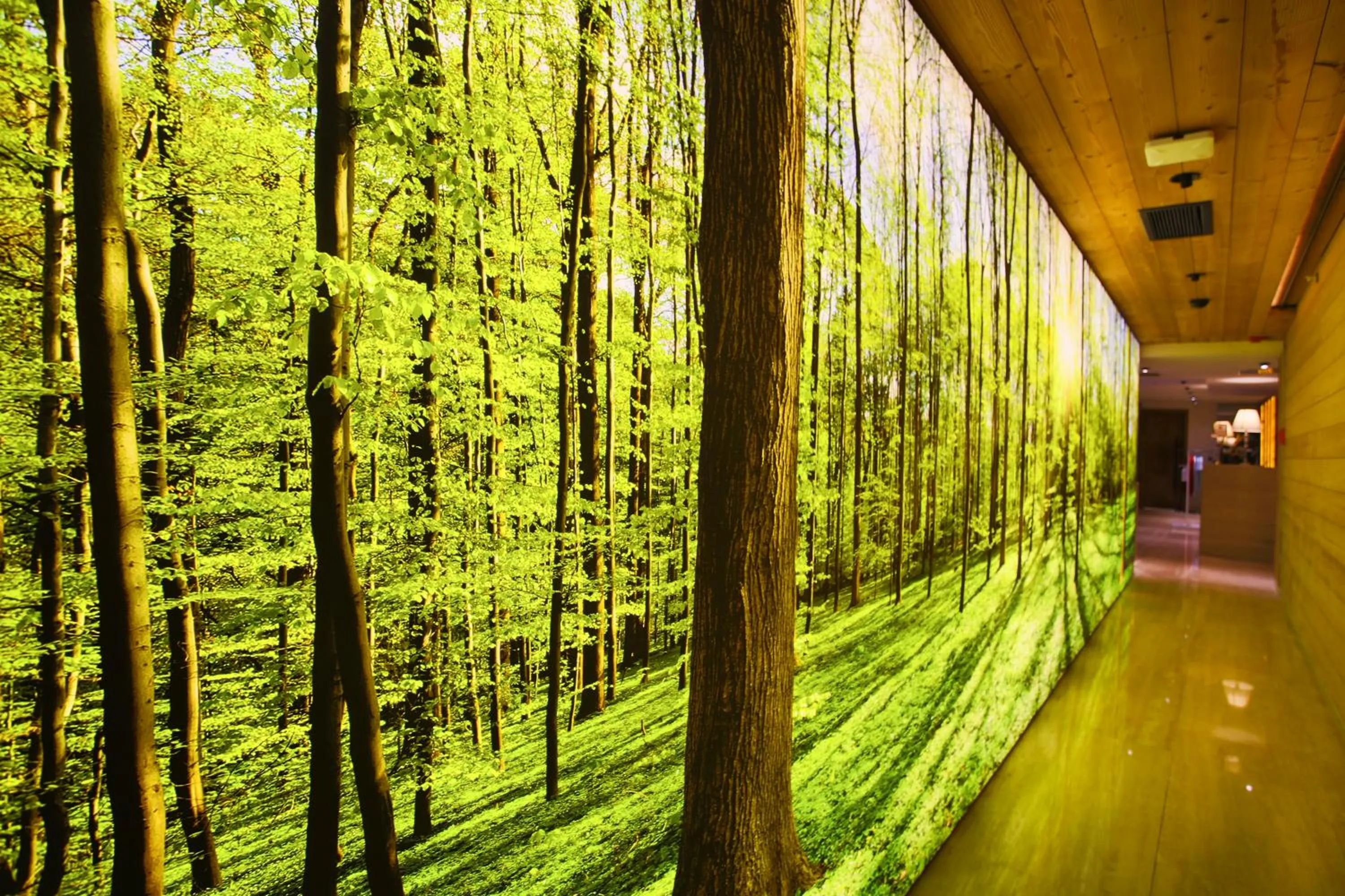 Spa and wellness centre/facilities in Dosso Dossi Hotels & SPA Downtown