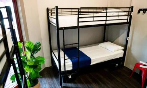 bunk bed, Bed in The Jack Backpackers