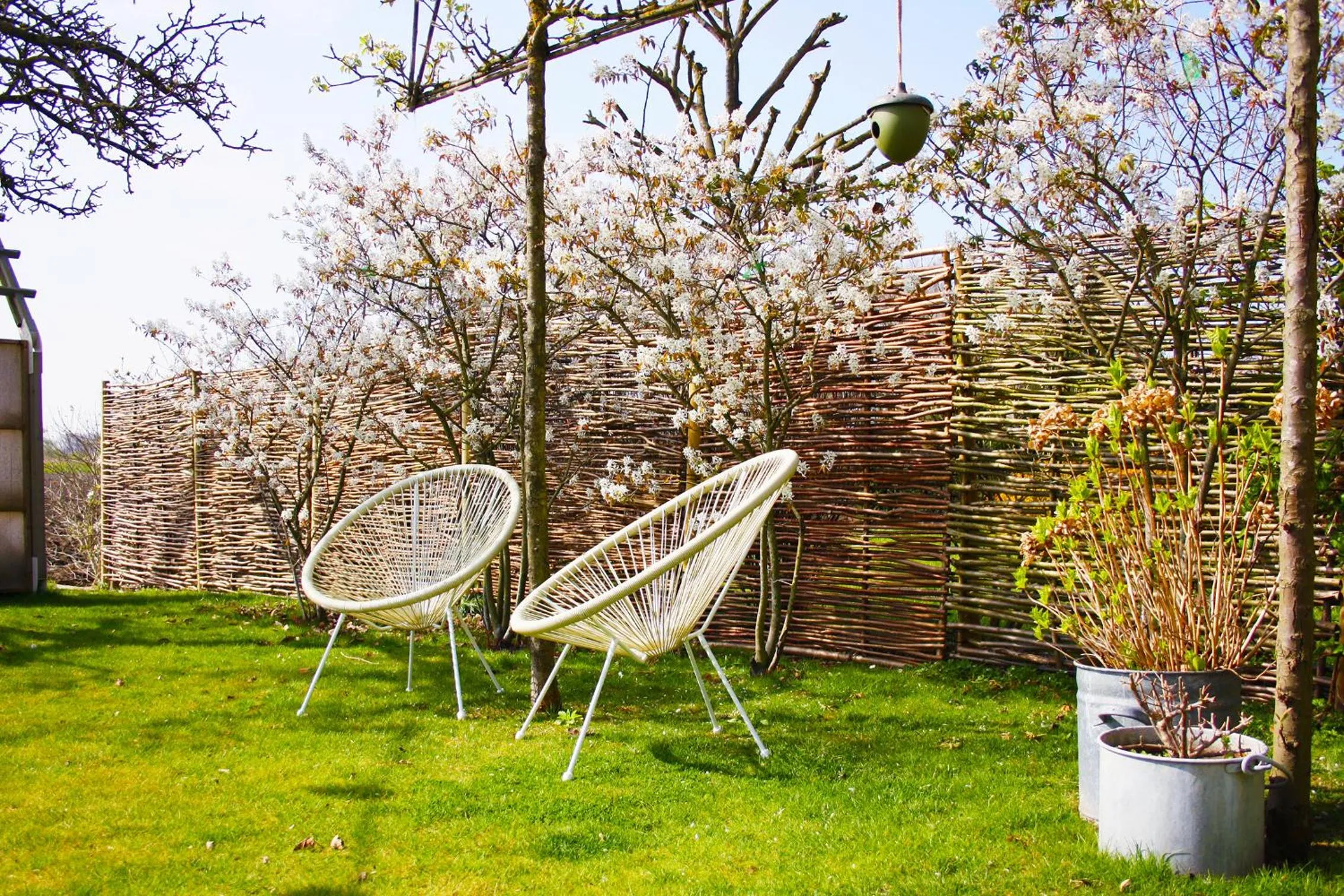 Spring in Logieslogees