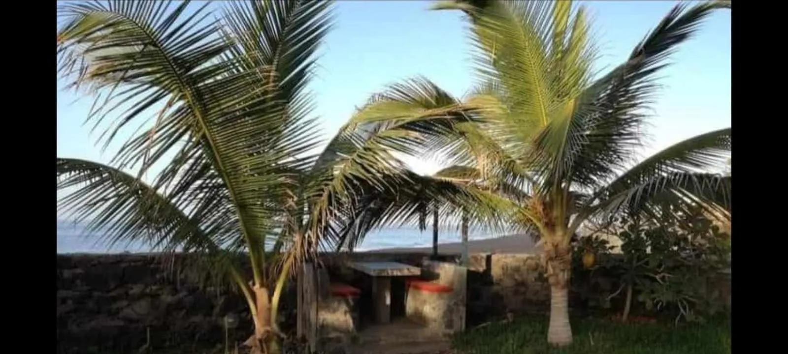 Tortuga B&B