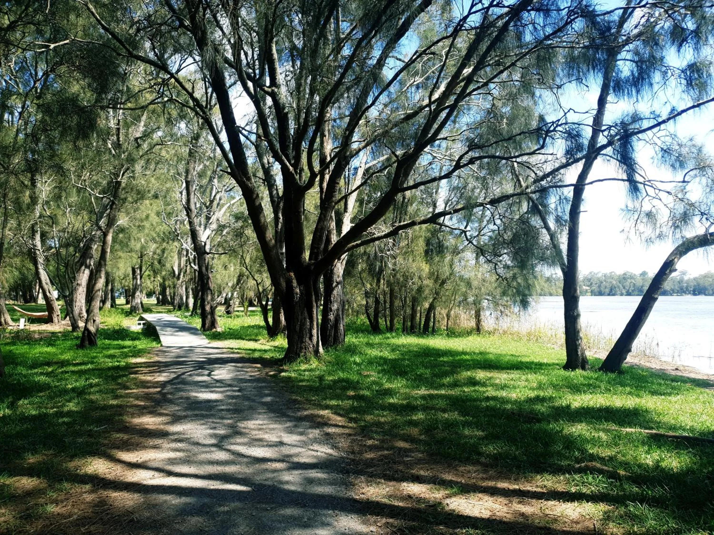 Natural landscape in Bay & Basin