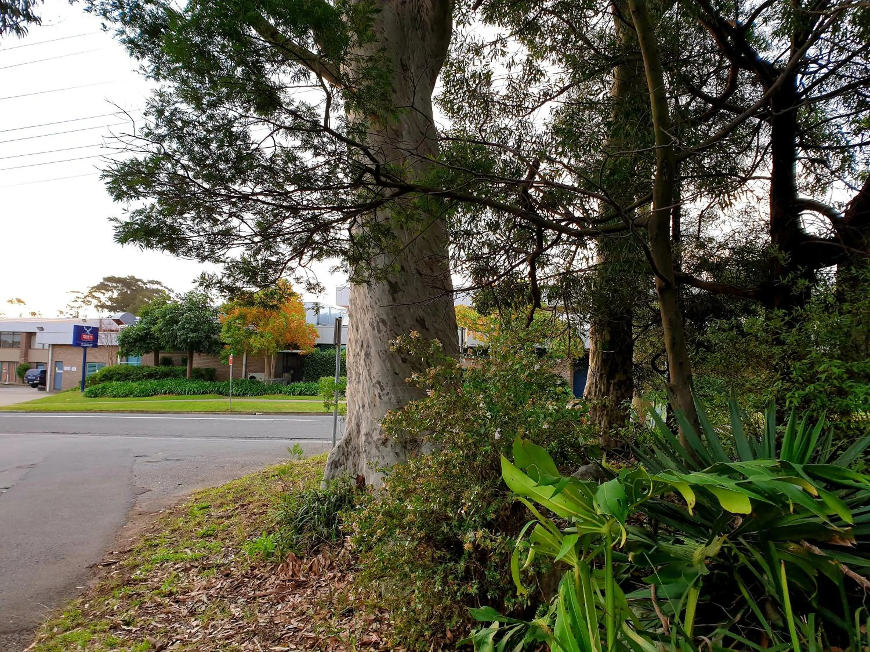 Natural landscape in Bay & Basin