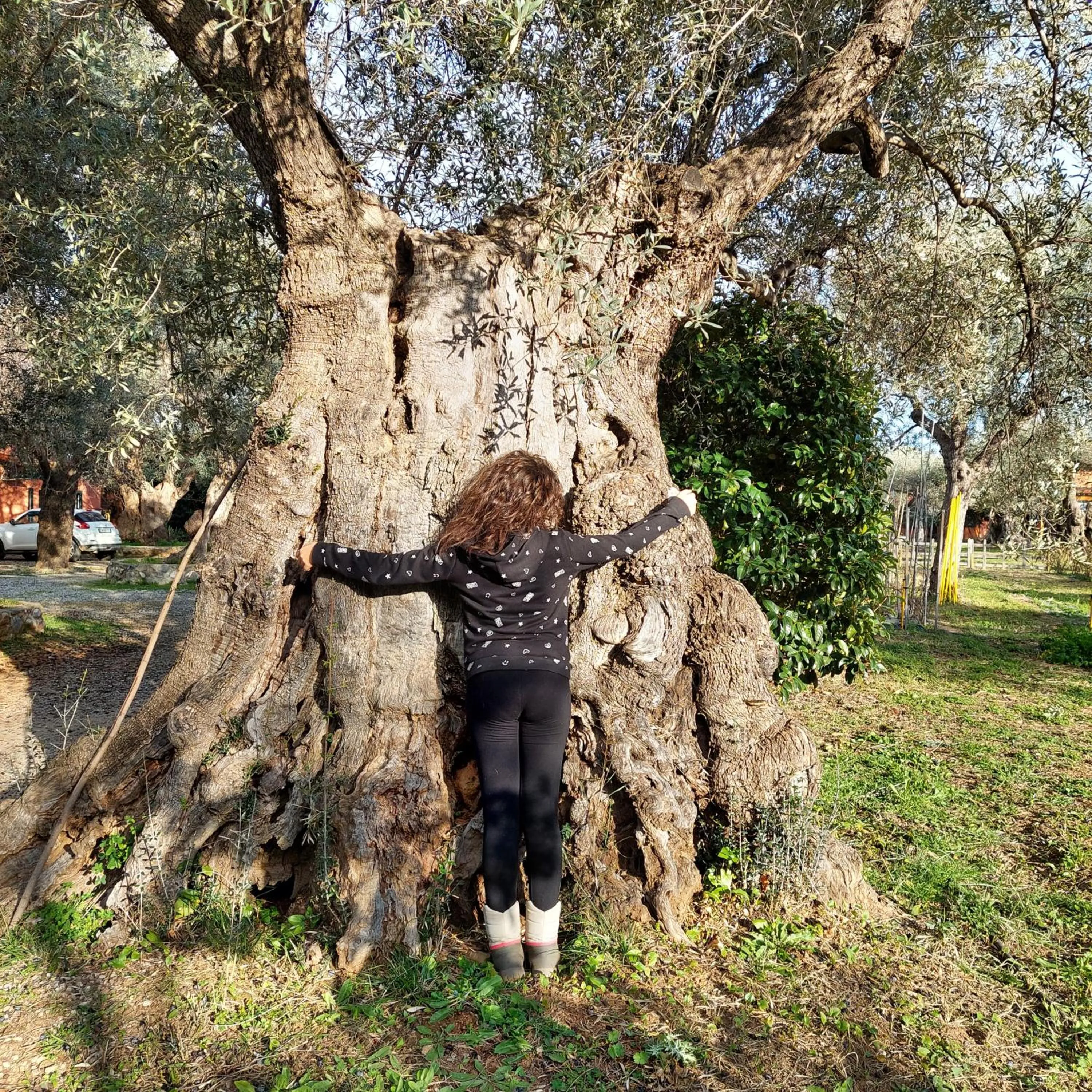 Garden in La Piana degli Ulivi