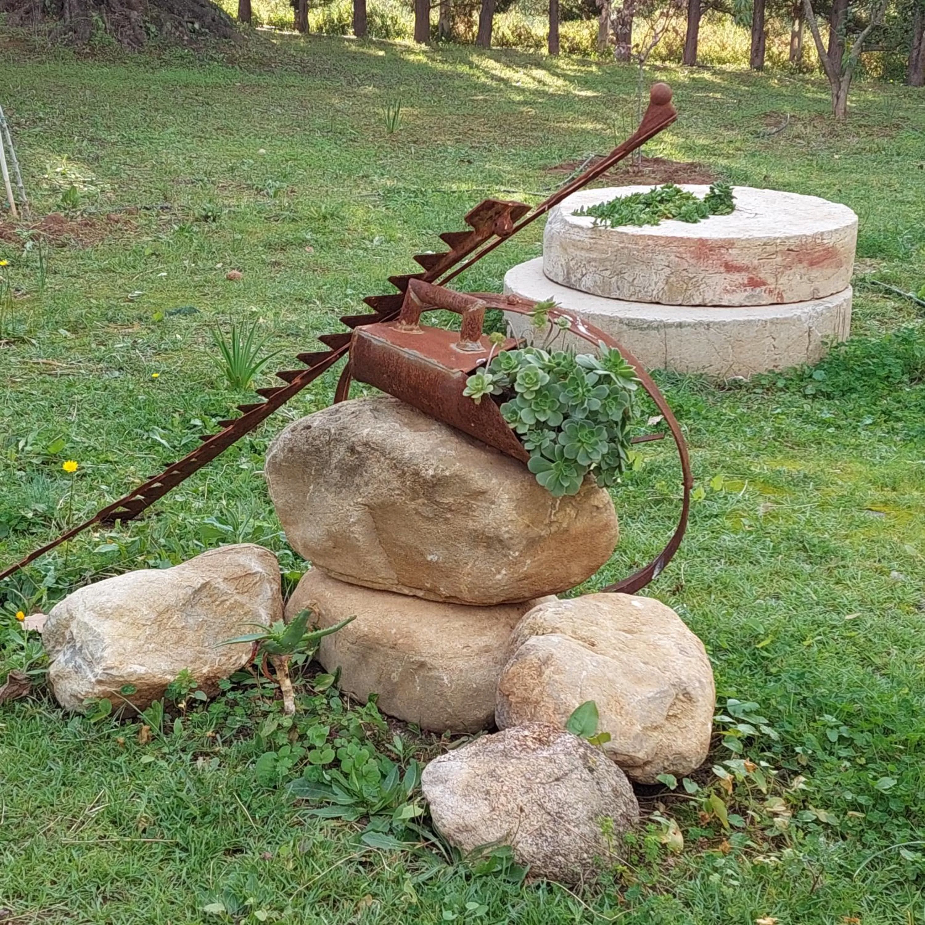 Garden in La Piana degli Ulivi