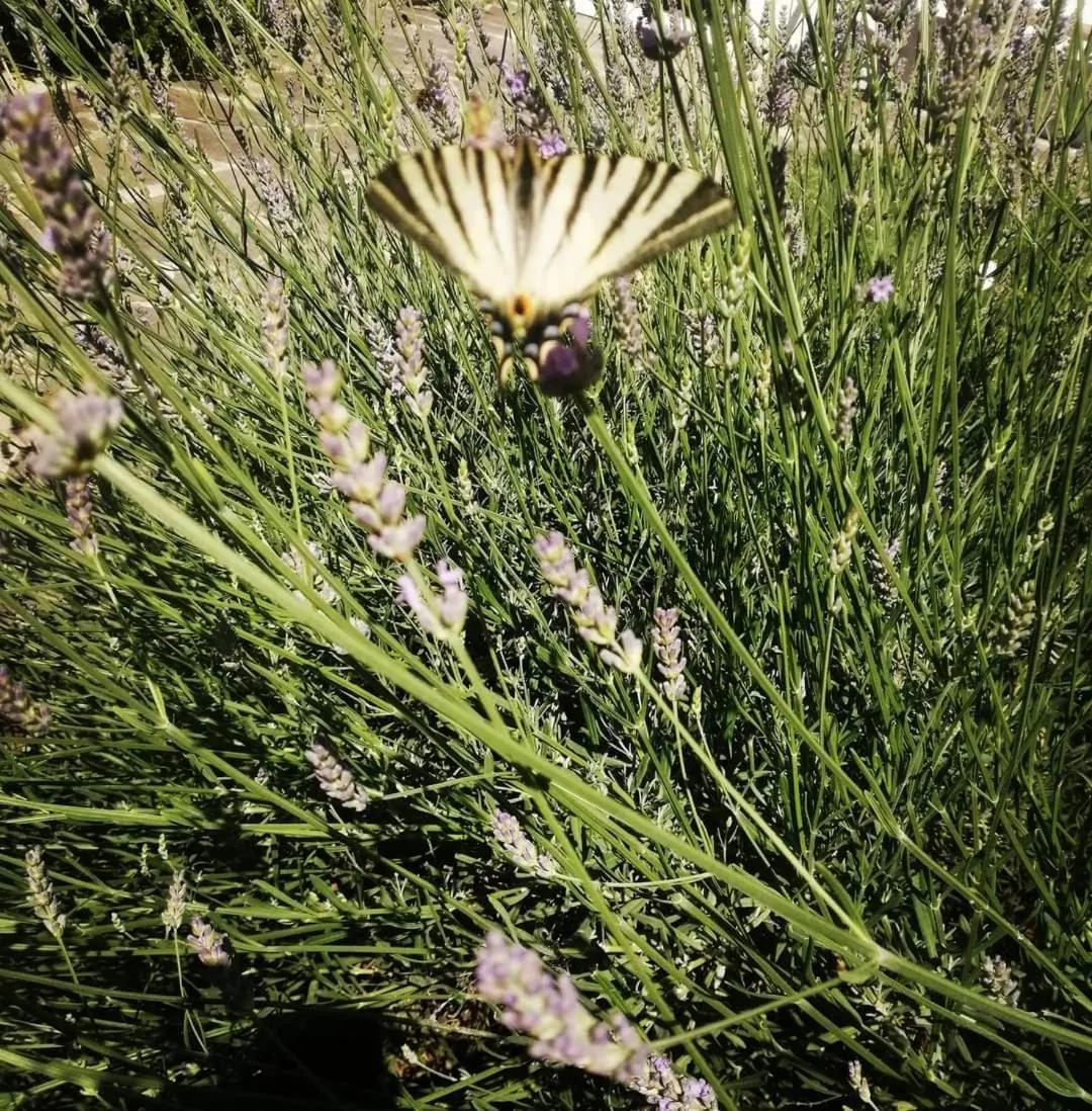 Natural landscape in Monte Termine Country House